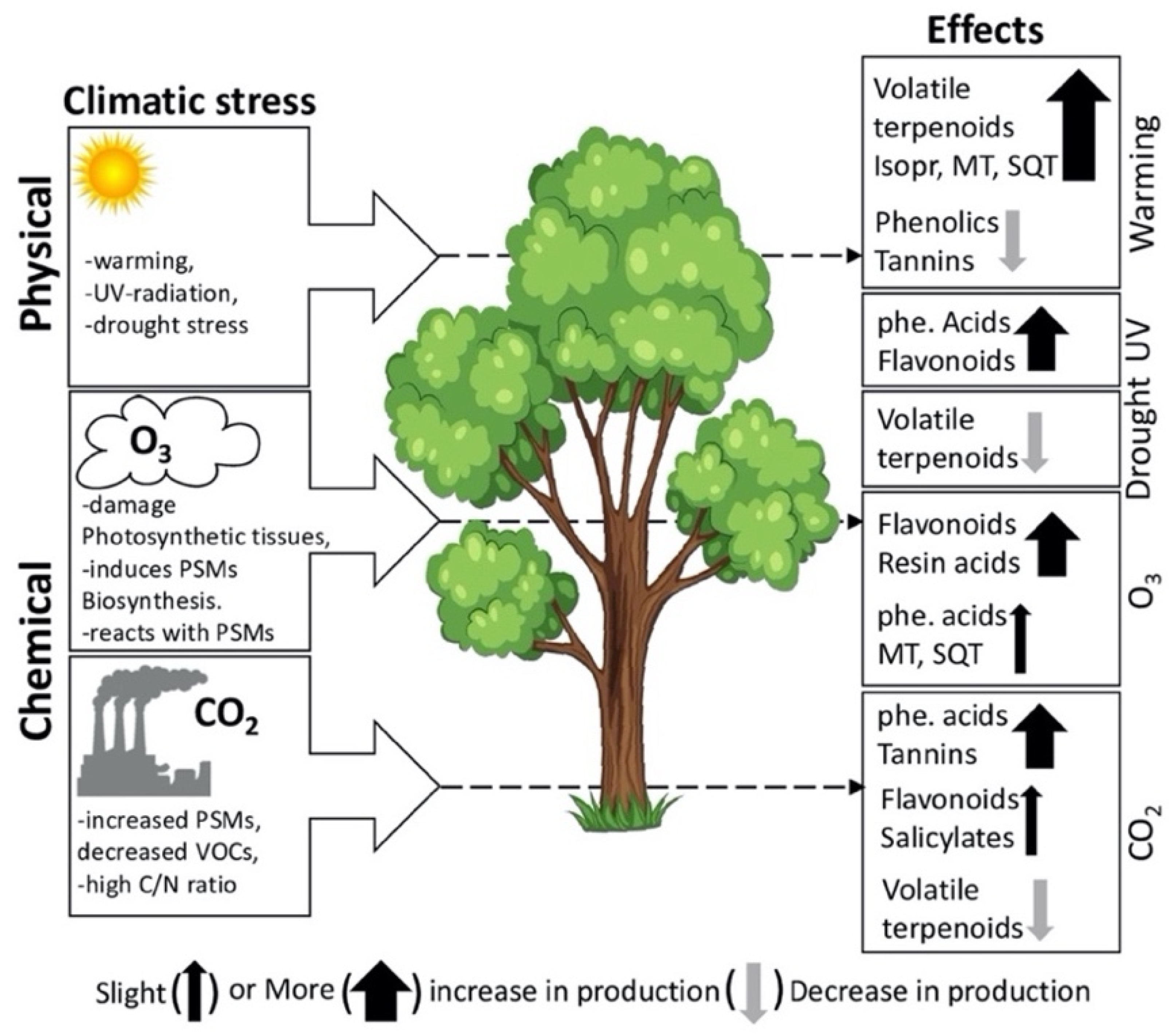 Molecules 27 00313 g005