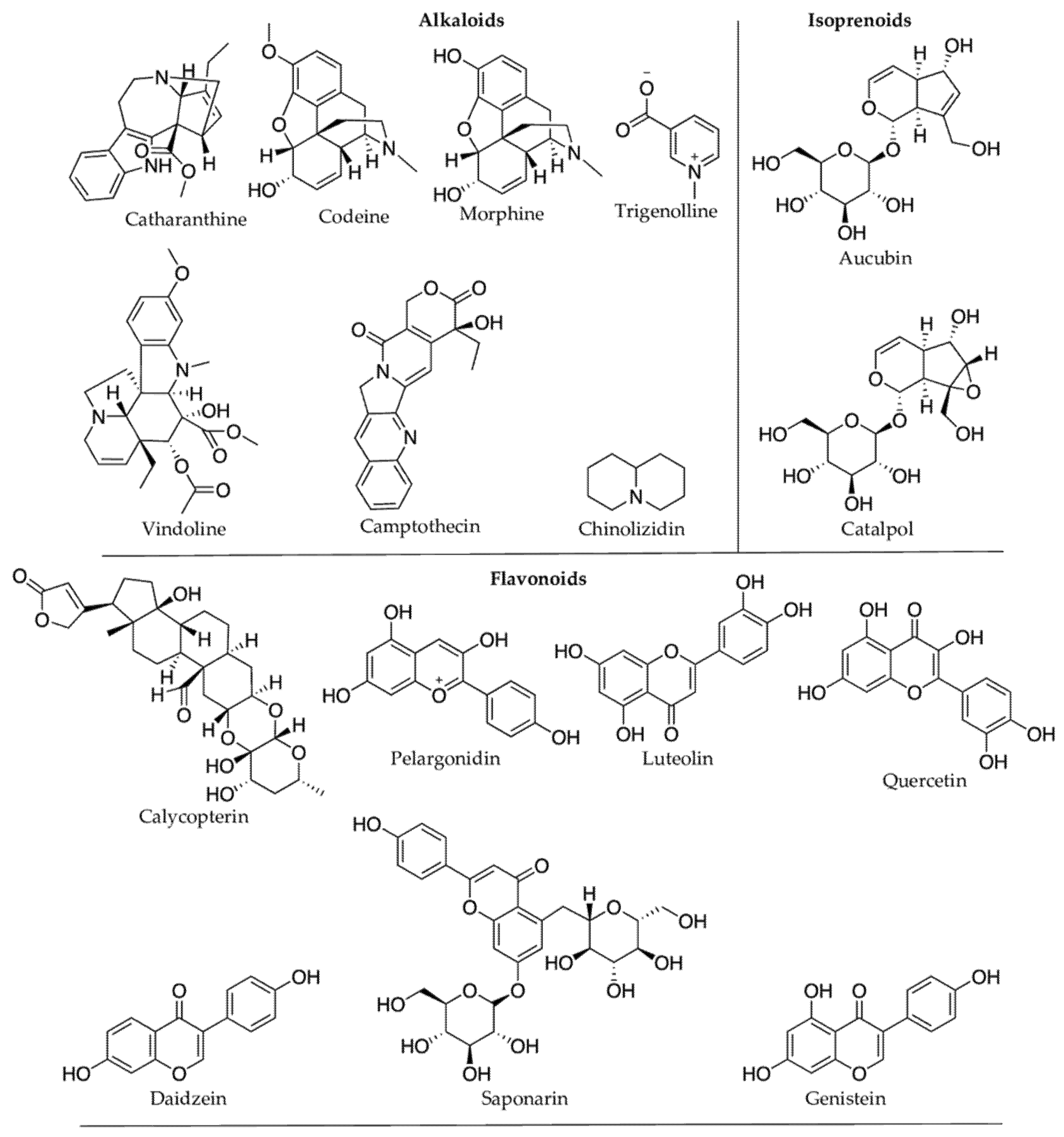 Molecules 27 00313 g007a