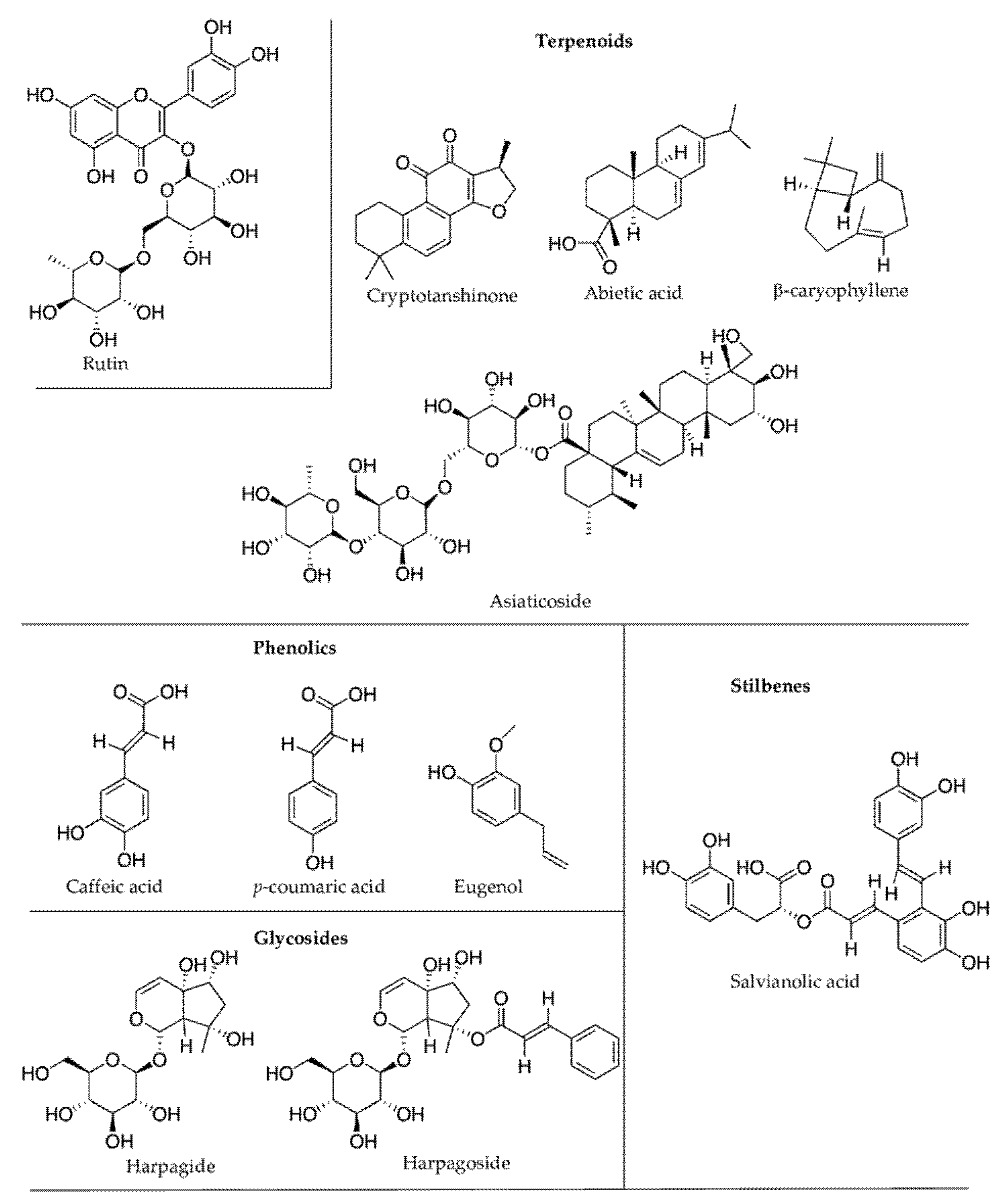 Molecules 27 00313 g007b
