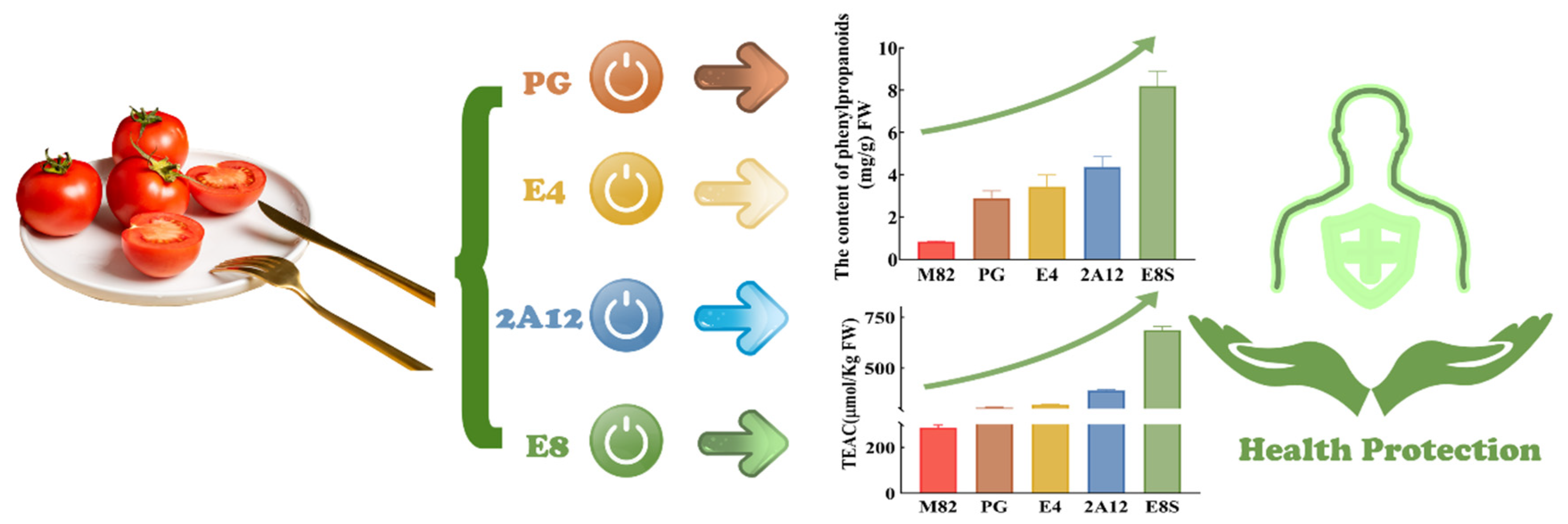 Molecules 27 00317 g005