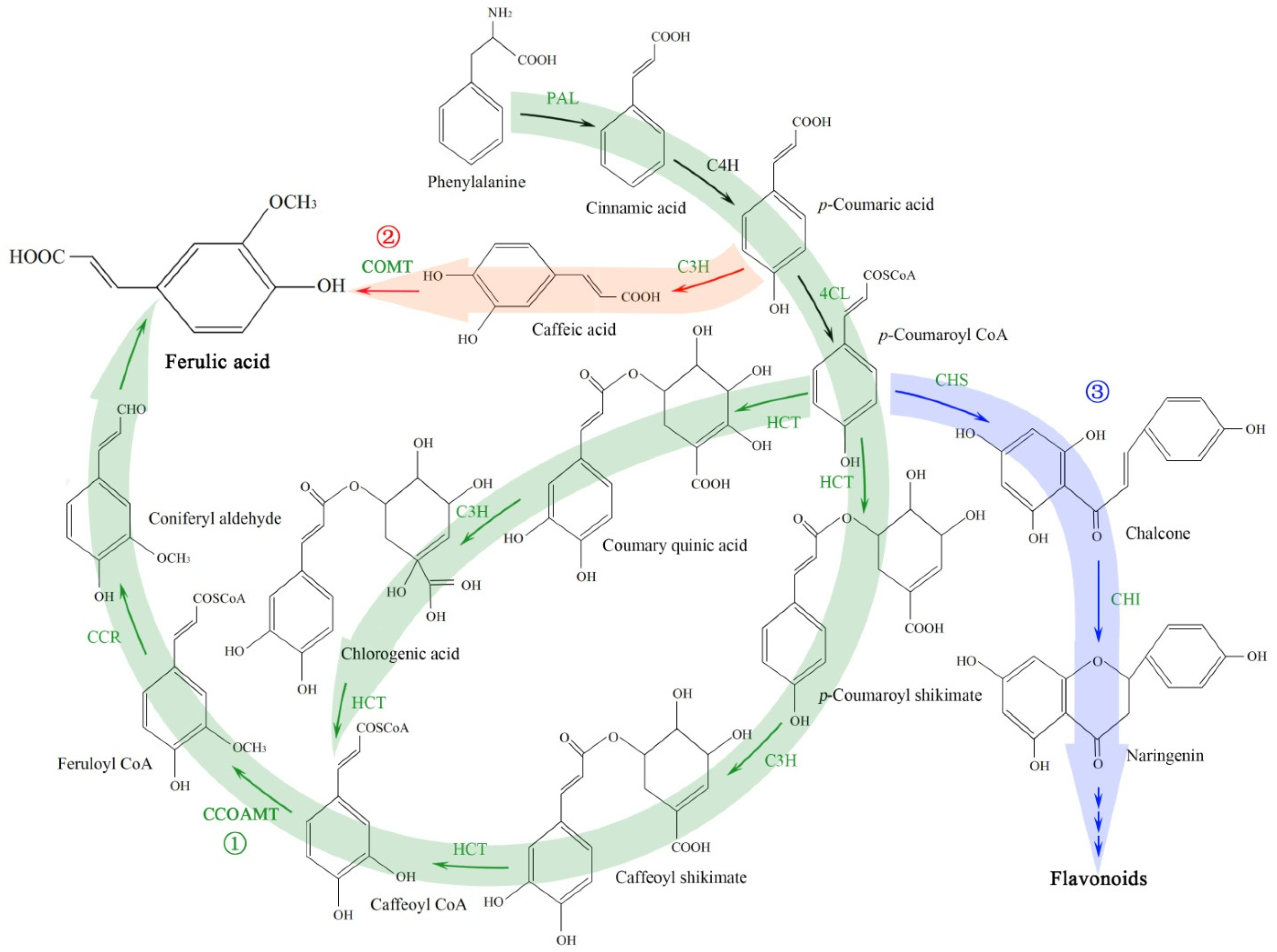 Molecules 27 00320 g001