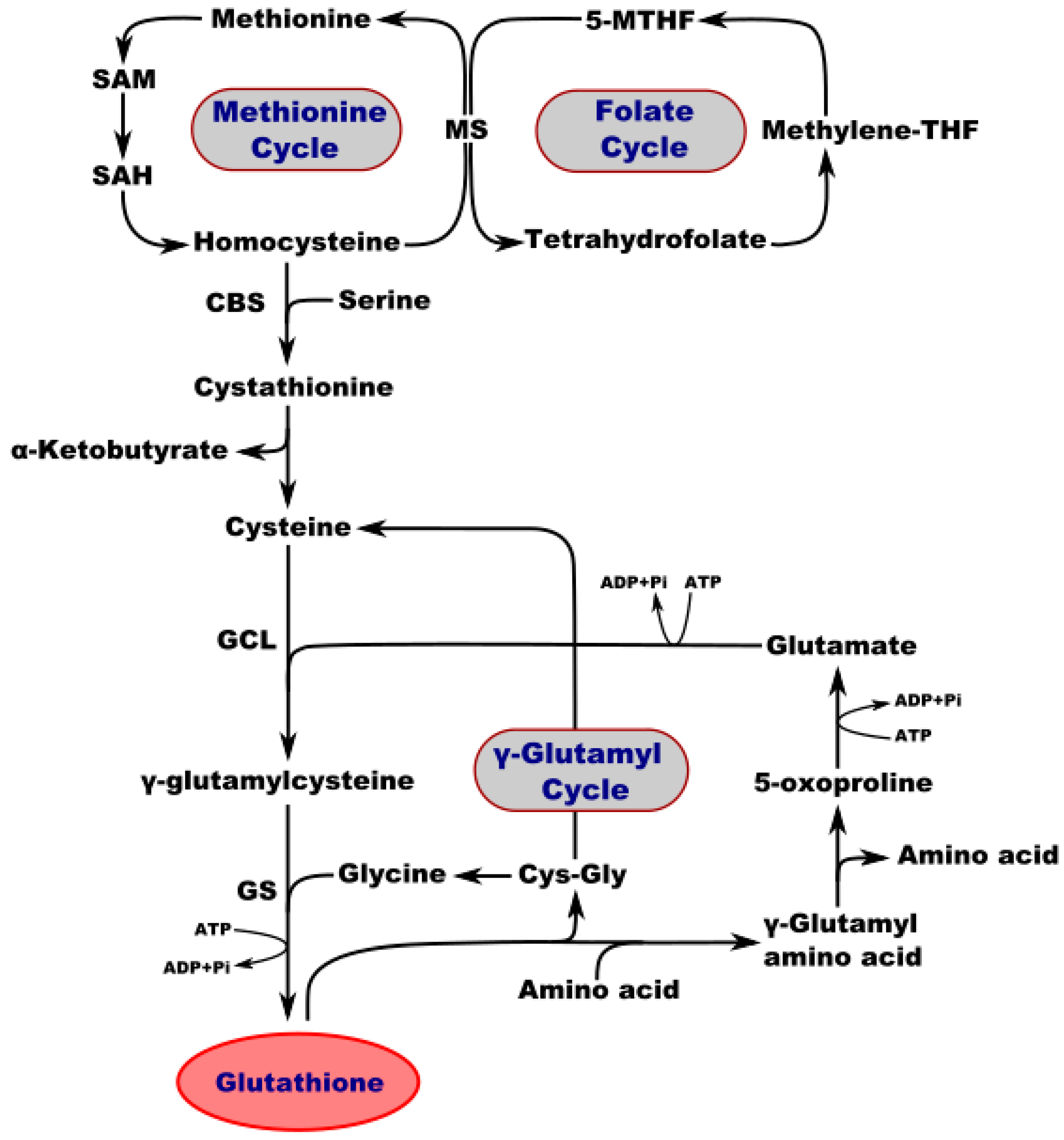 Molecules 27 00324 g001