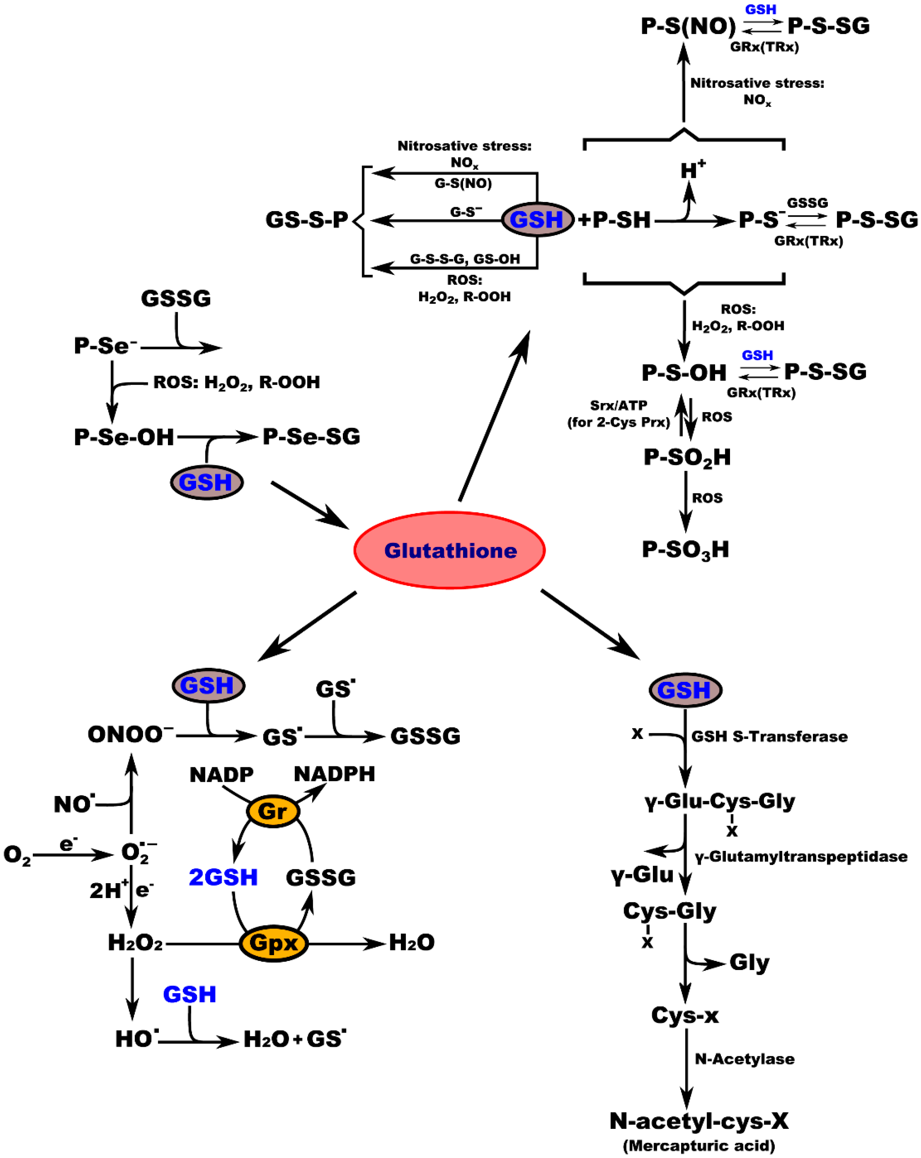 Molecules 27 00324 g003