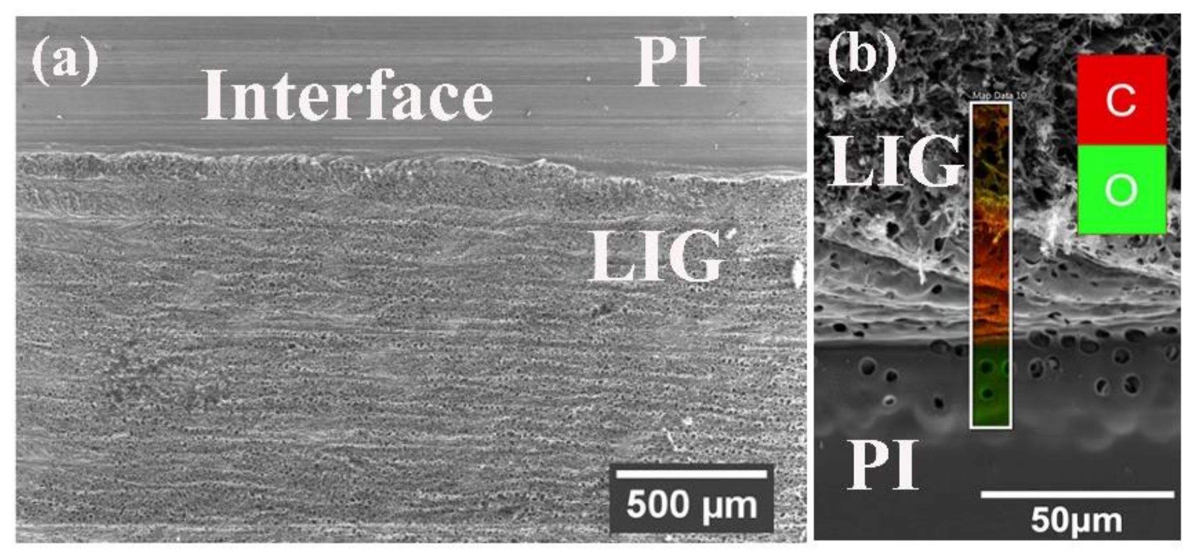 Molecules 27 00329 g001