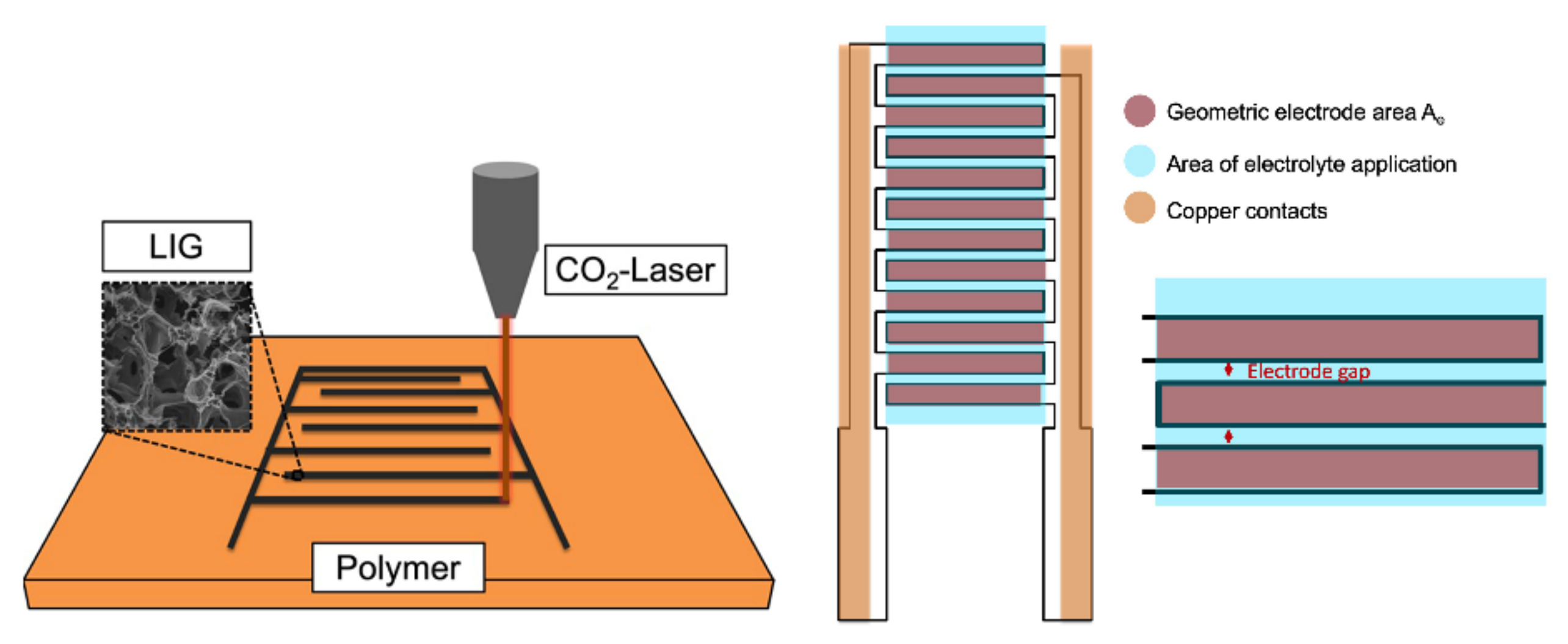 Molecules 27 00329 g007