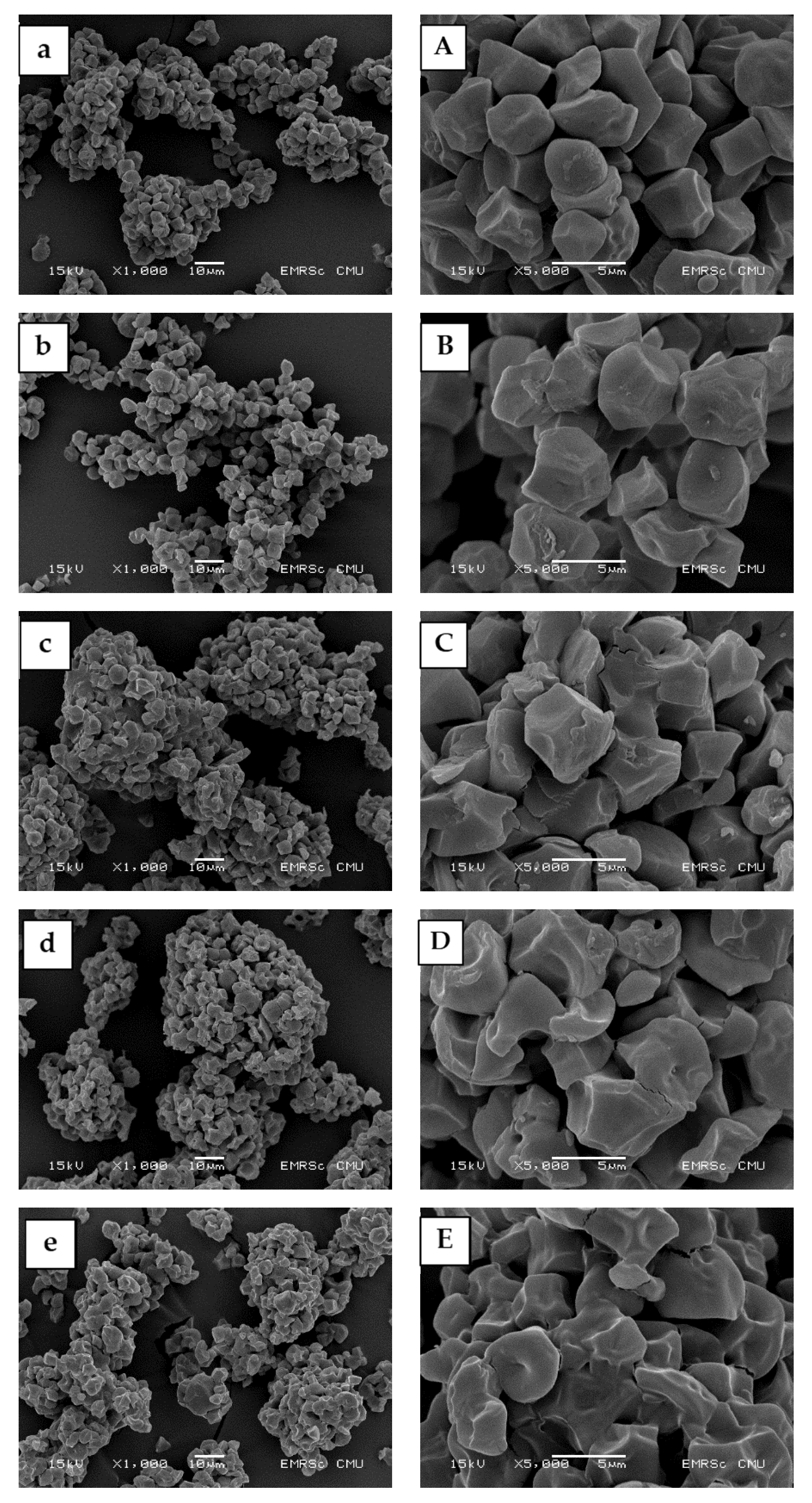 Molecules 27 00331 g001a