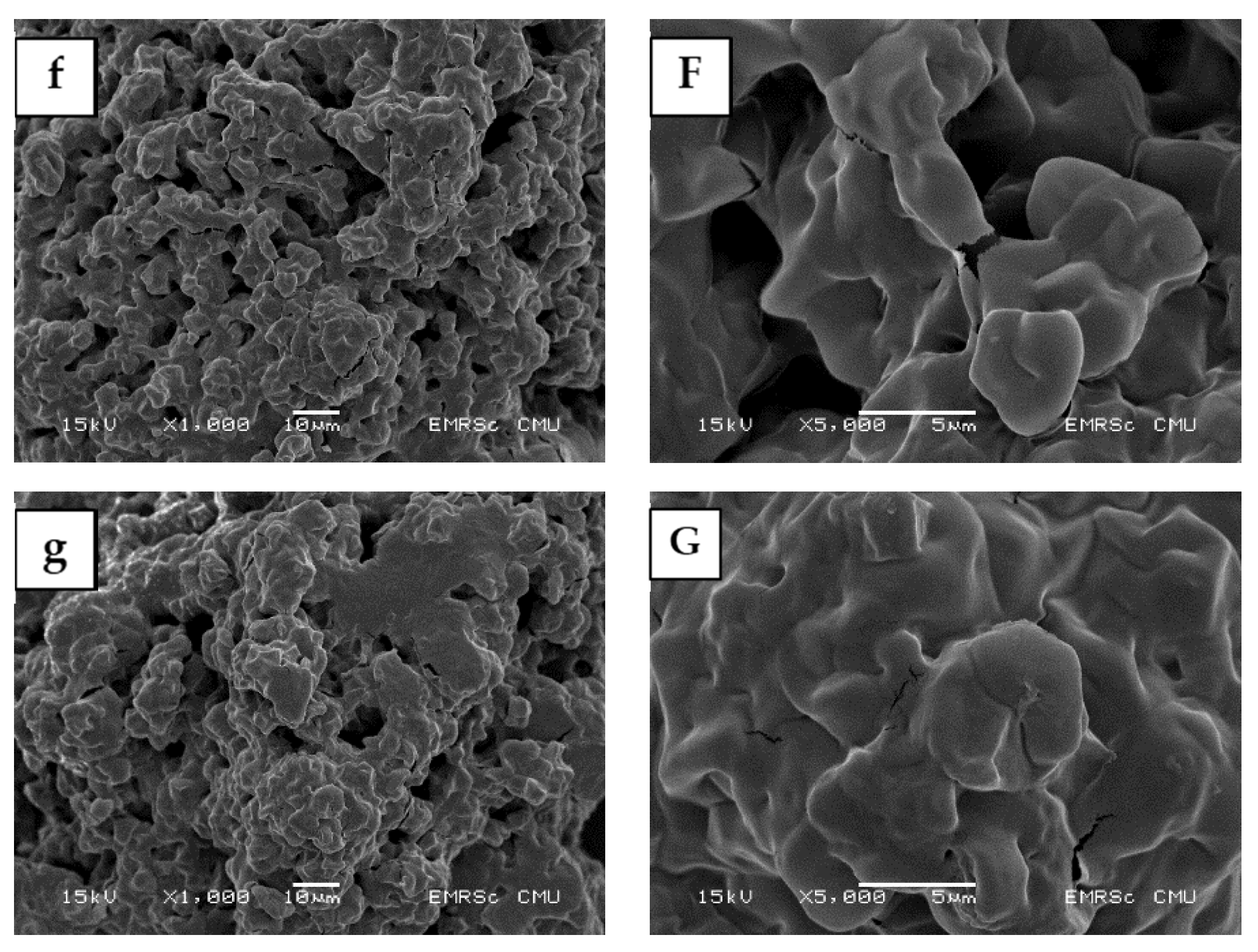 Molecules 27 00331 g001b