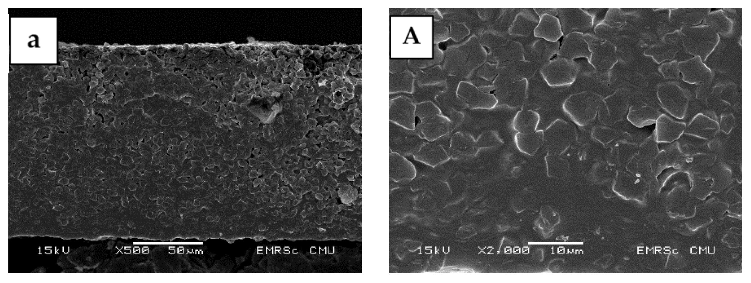 Molecules 27 00331 g003a