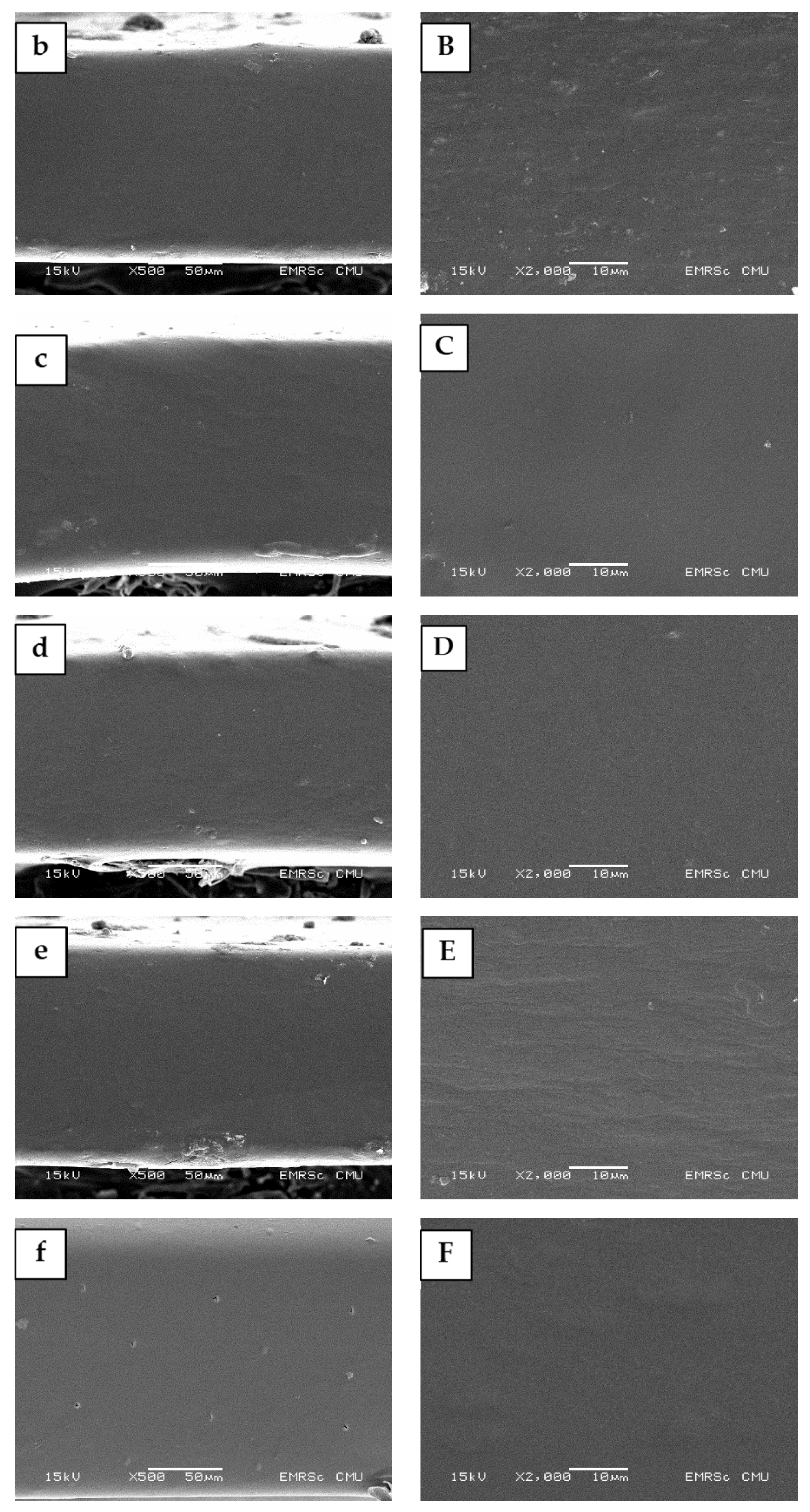 Molecules 27 00331 g003b