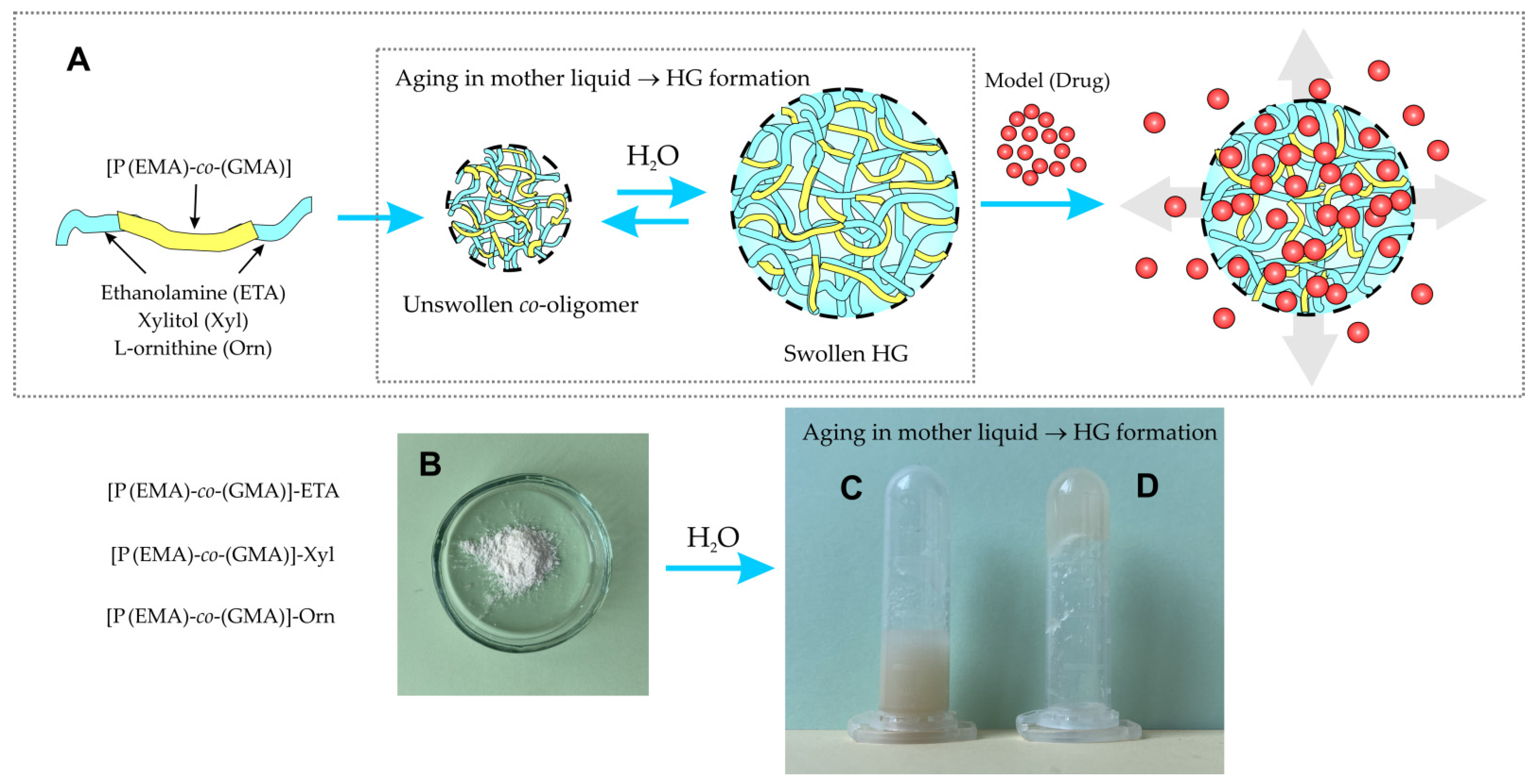 Molecules 27 00337 sch002