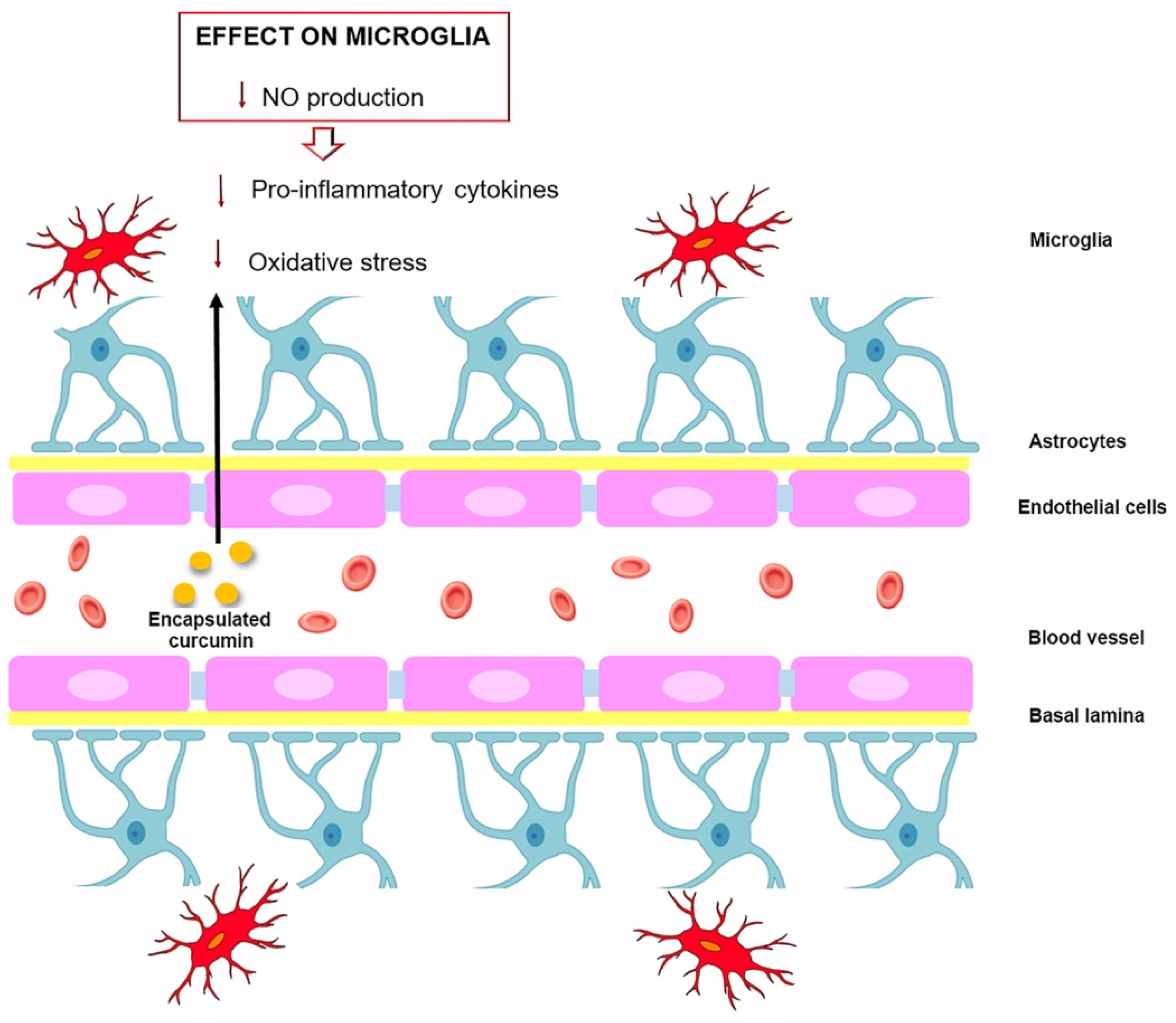 Molecules 27 00341 g003