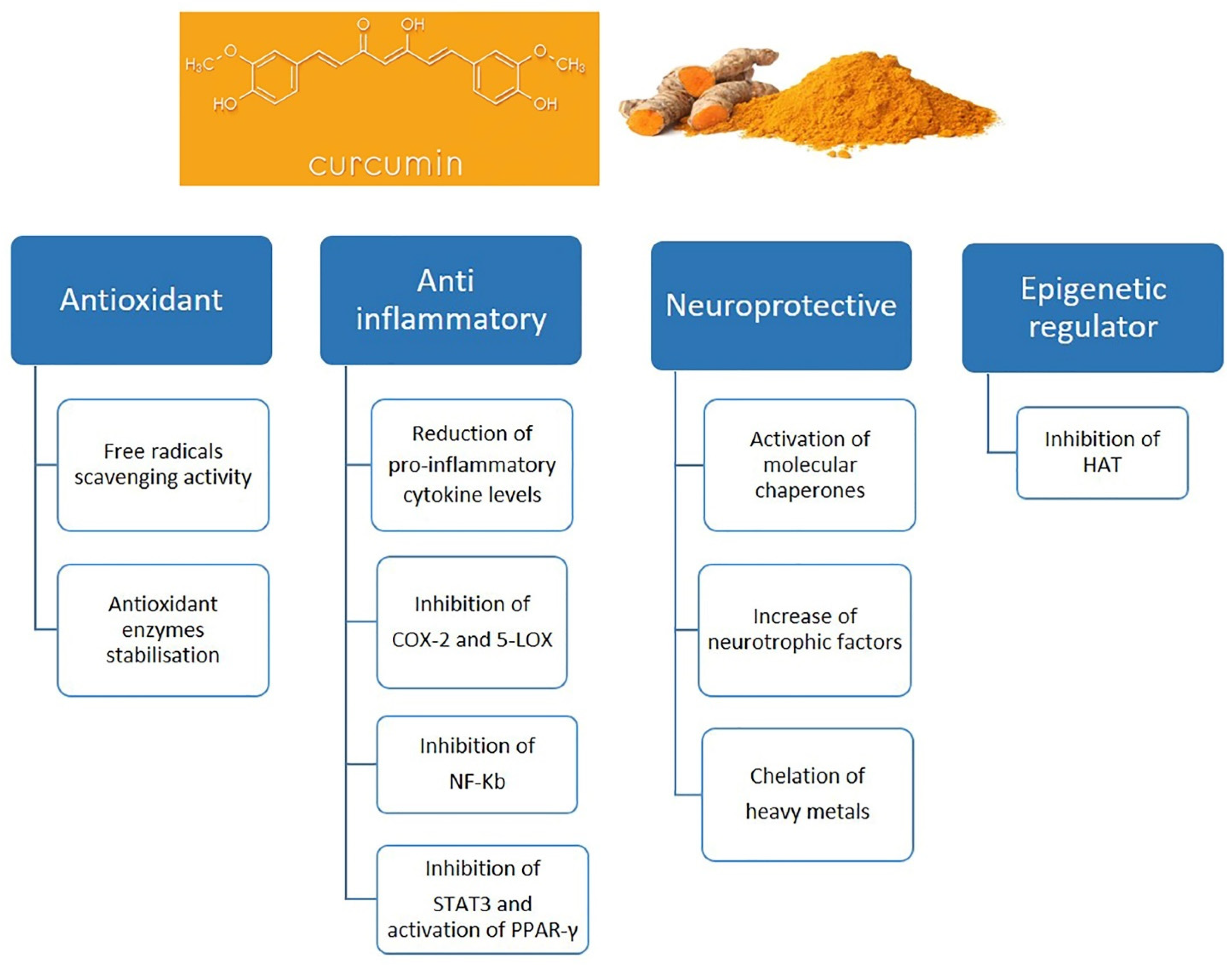 Molecules 27 00341 g004