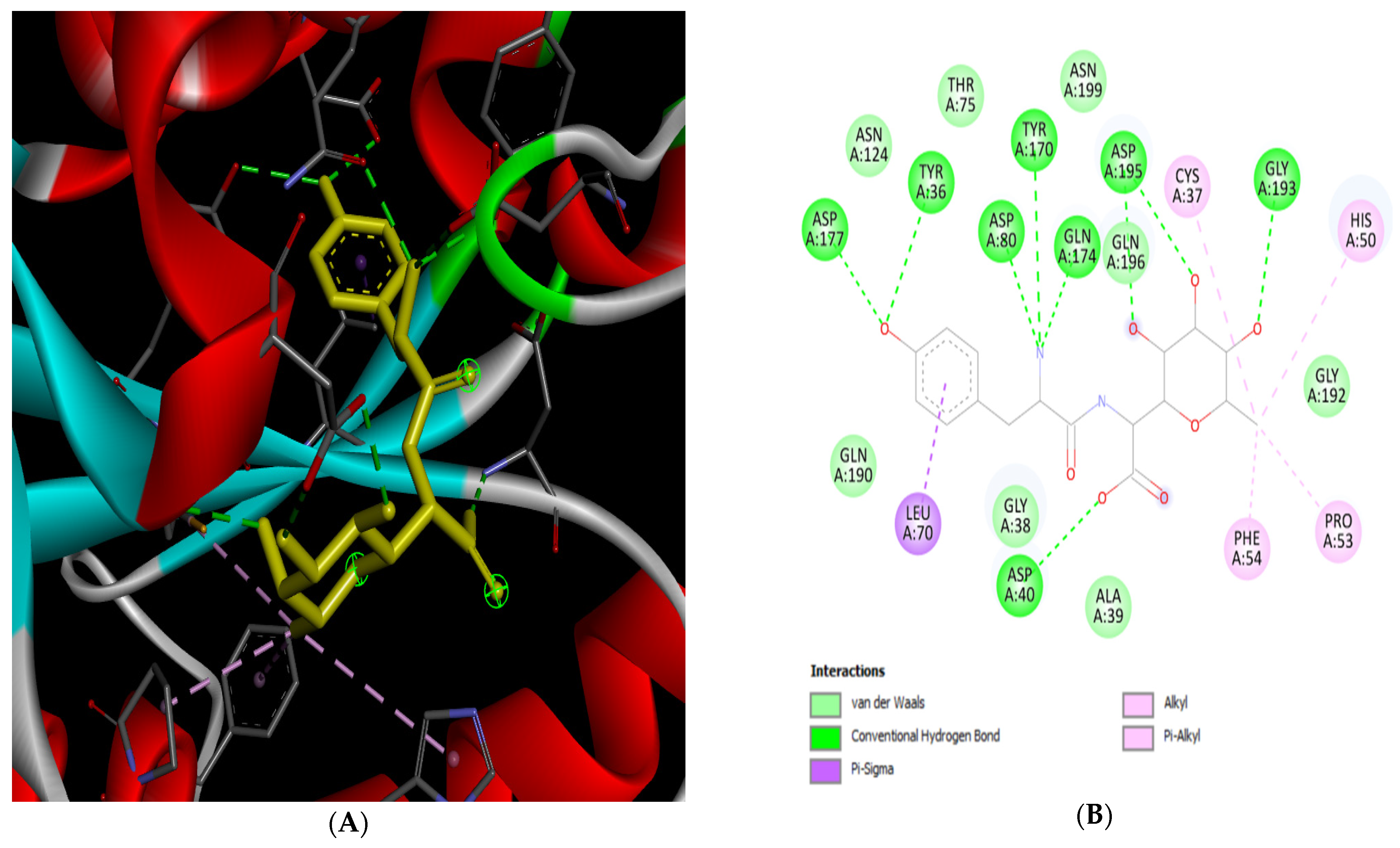 Molecules 27 00342 g006