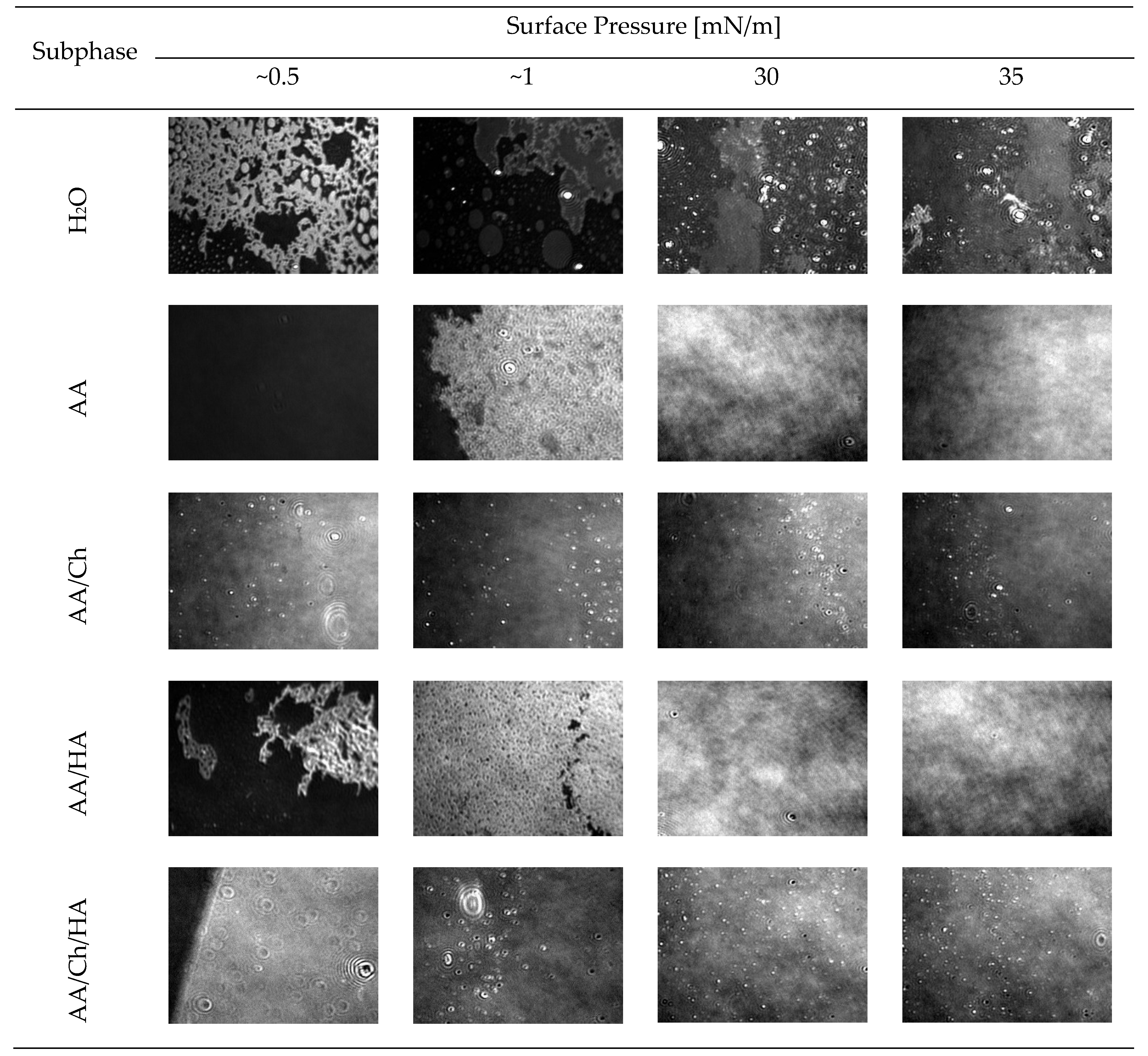 Molecules 27 00343 g003