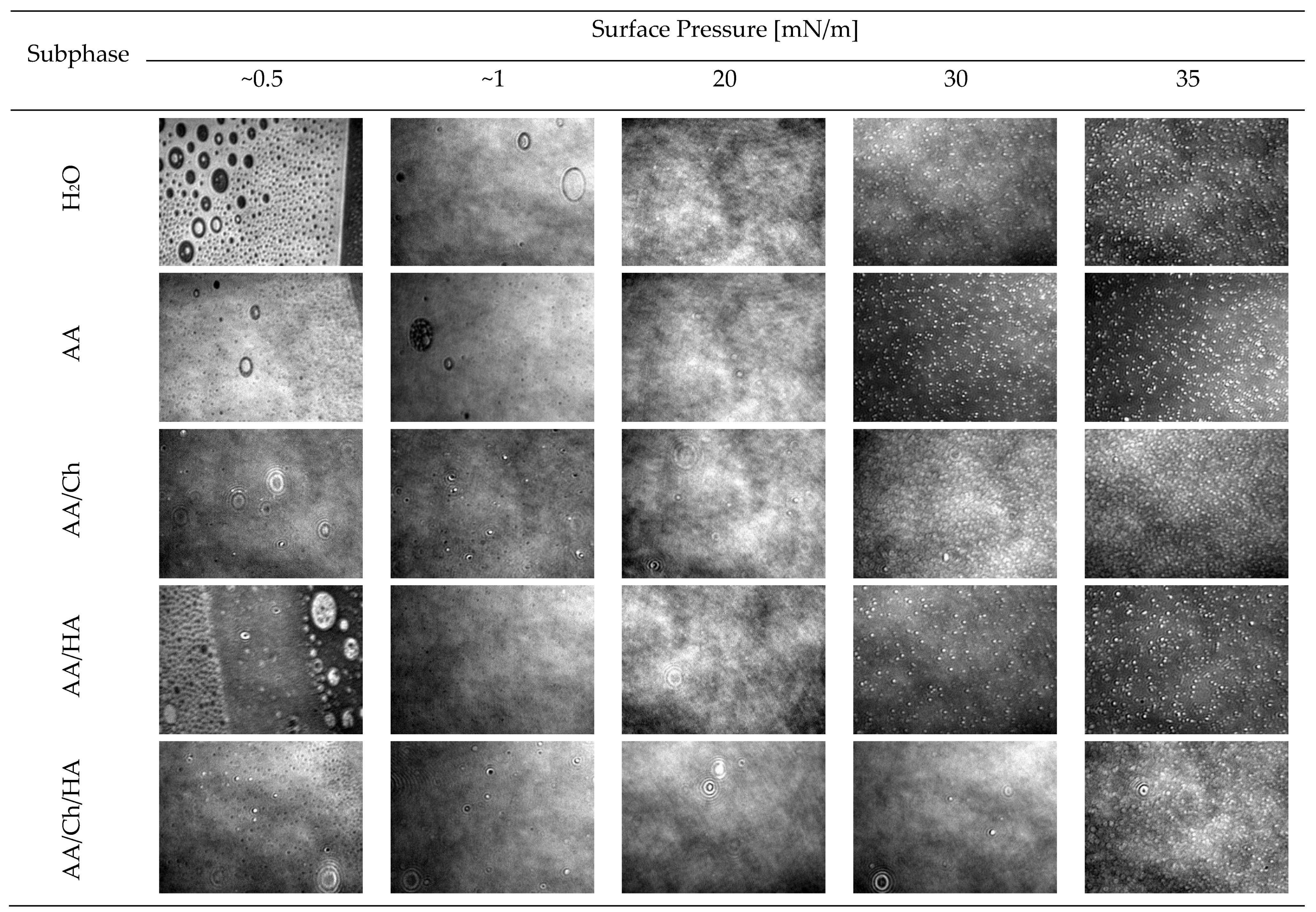 Molecules 27 00343 g006