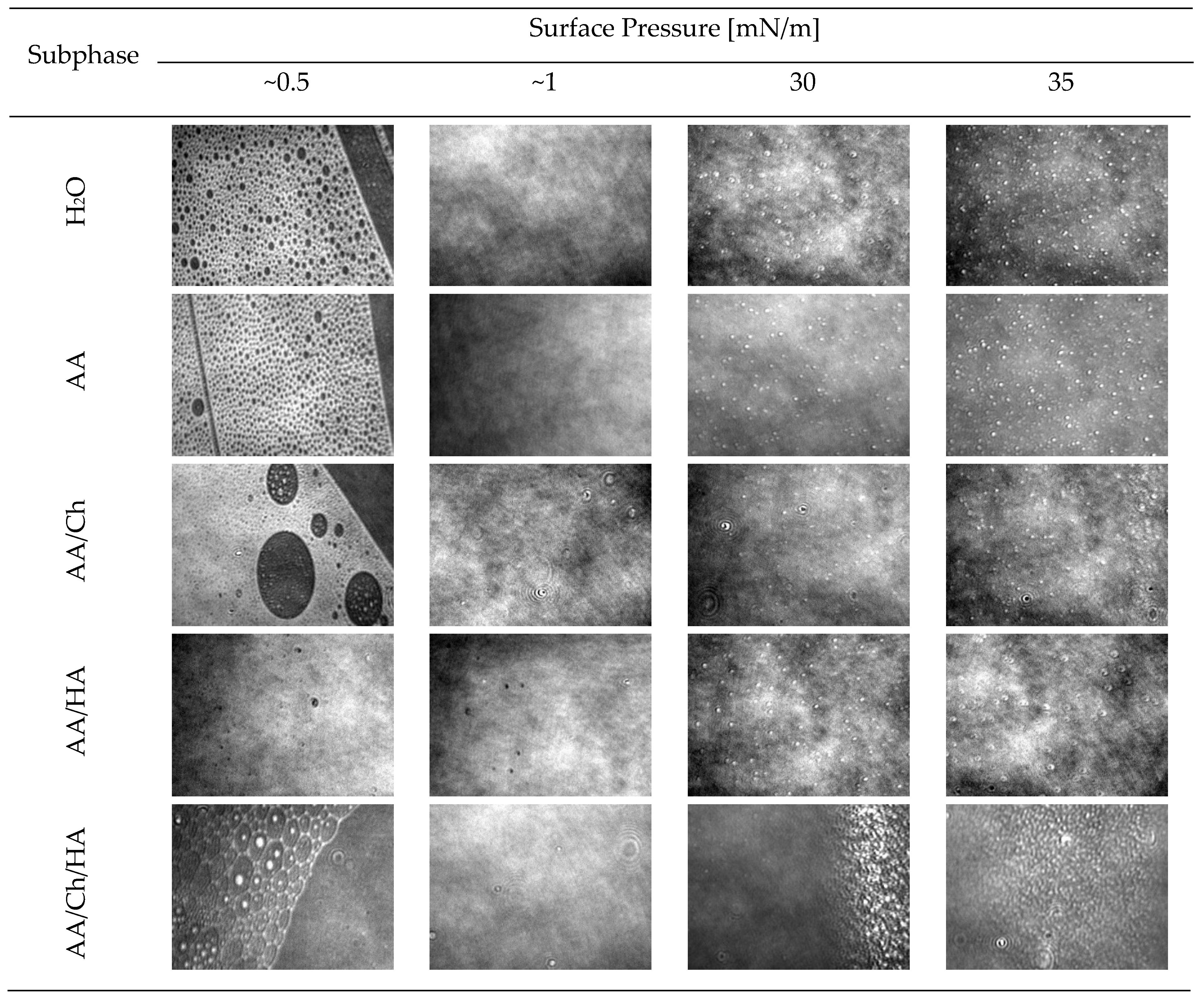 Molecules 27 00343 g009