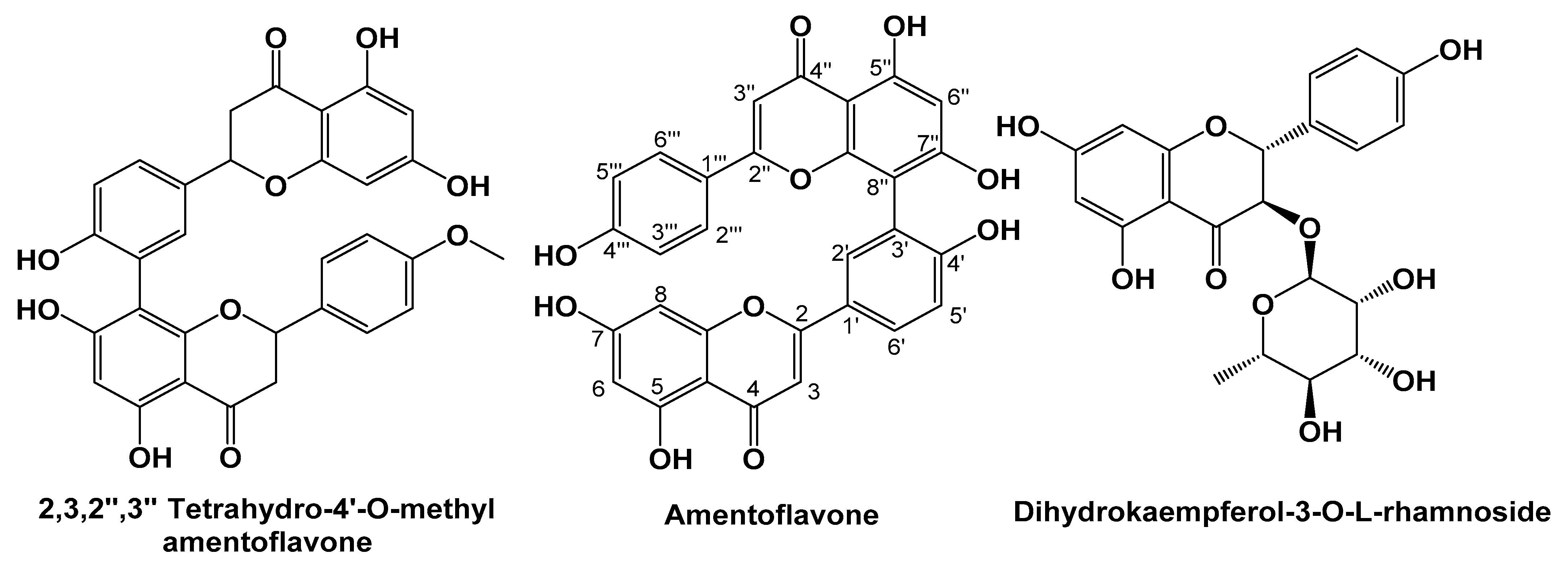 Molecules 27 00346 g001