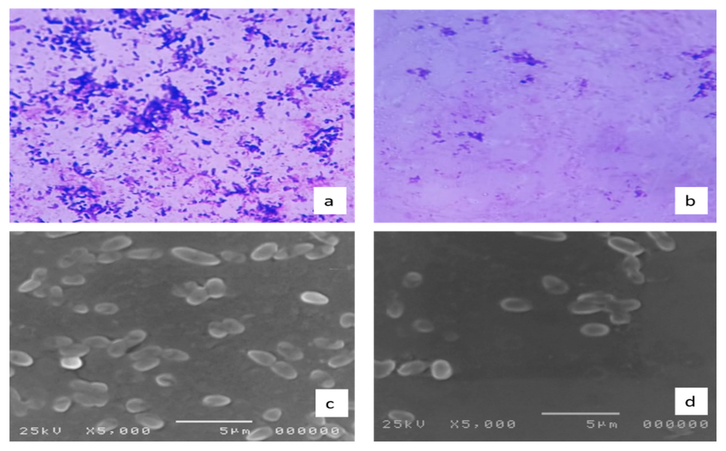 Molecules 27 00346 g008