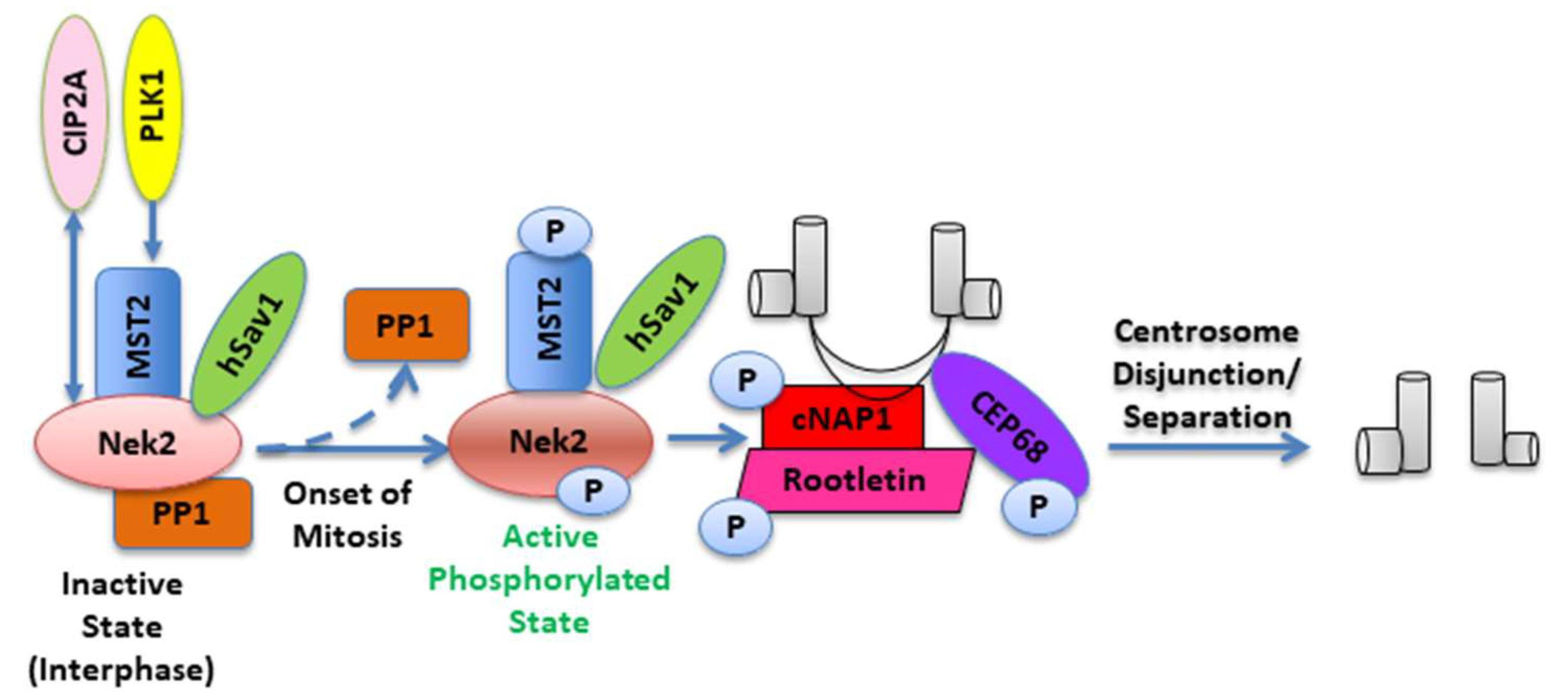 Molecules 27 00347 g002