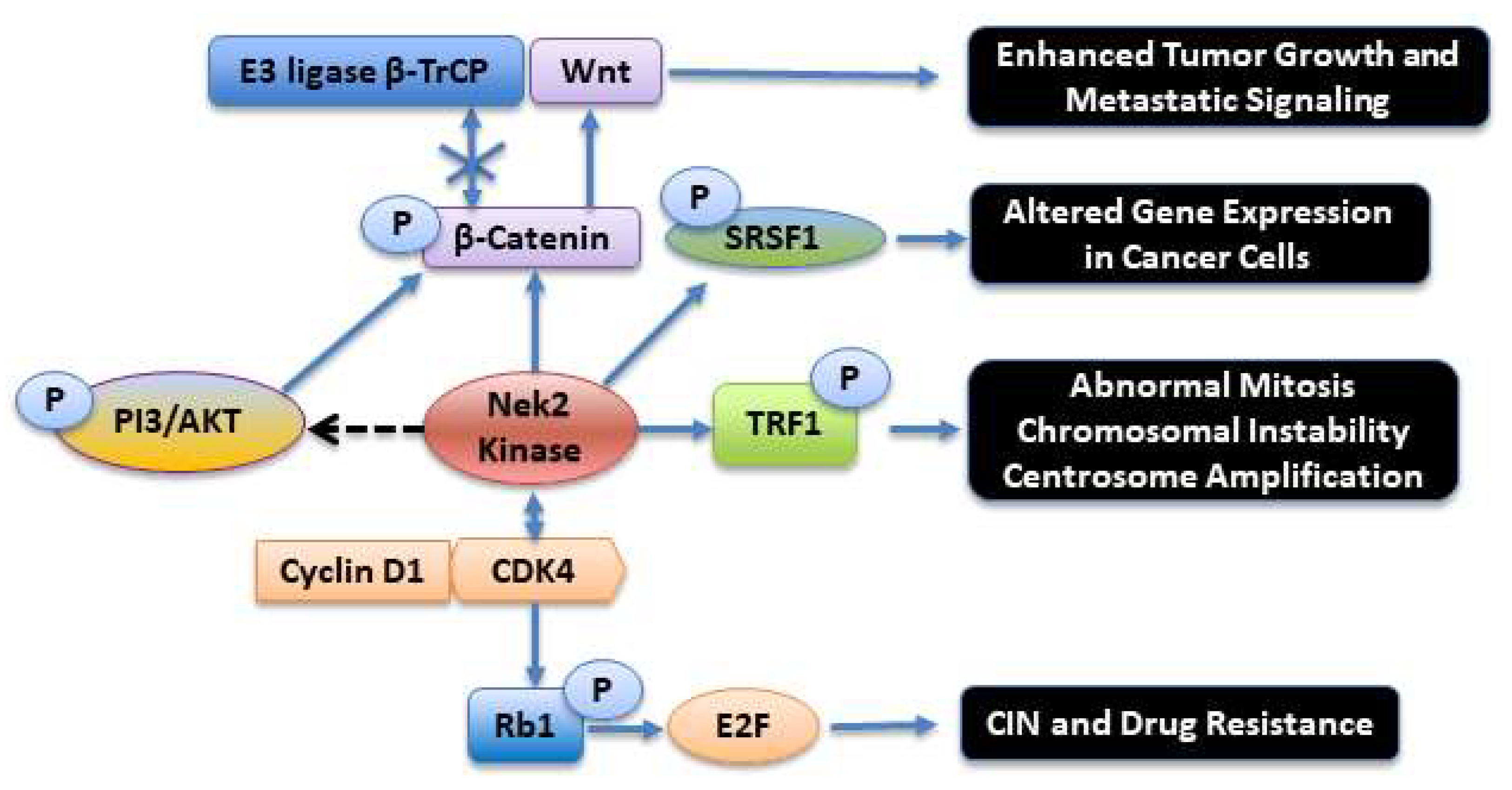 Molecules 27 00347 g004