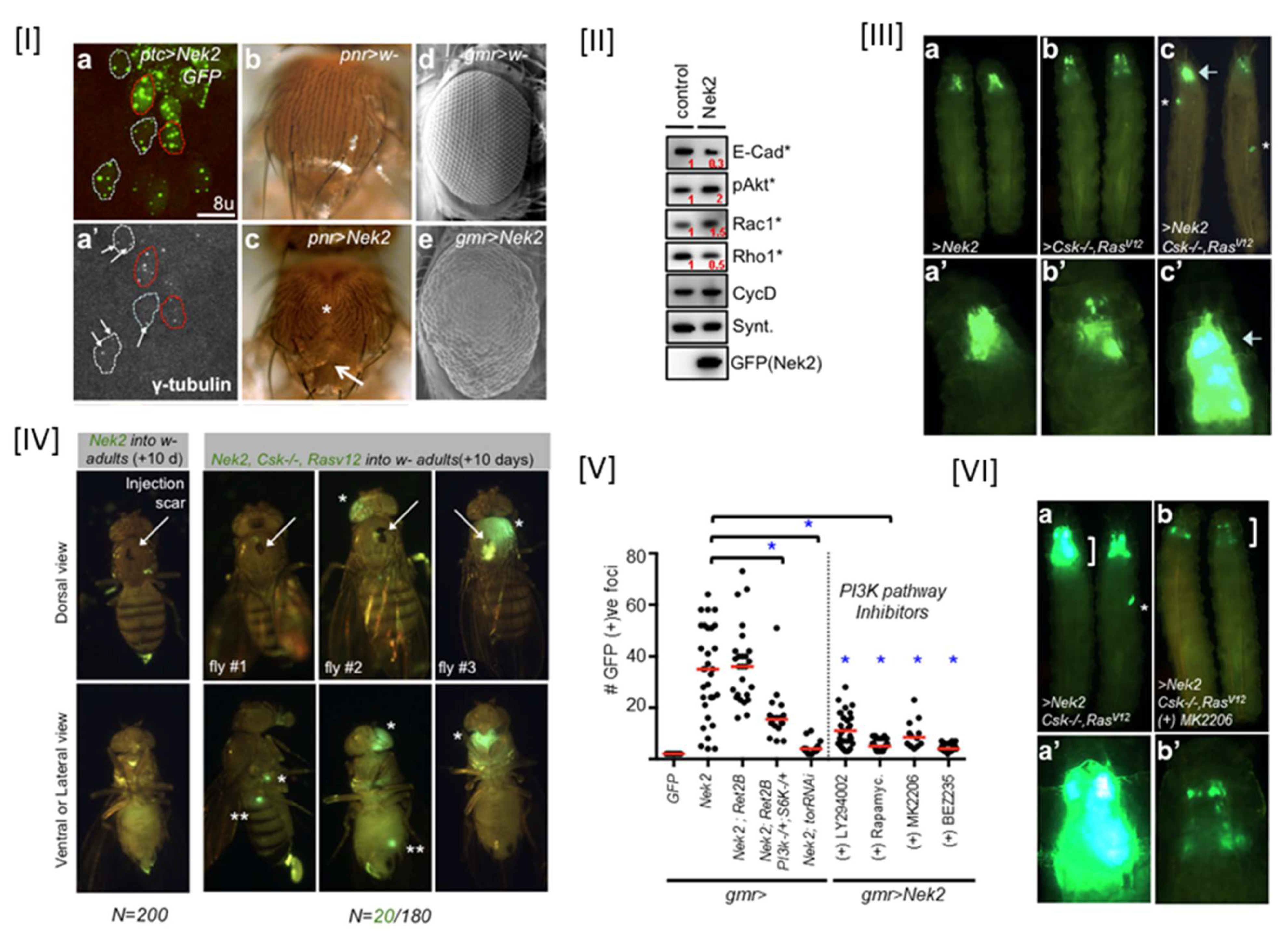 Molecules 27 00347 g005