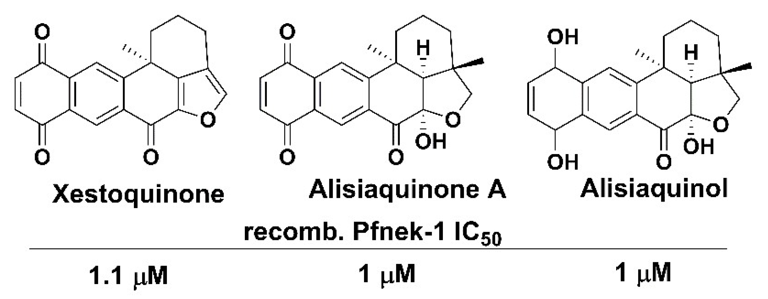 Molecules 27 00347 g006