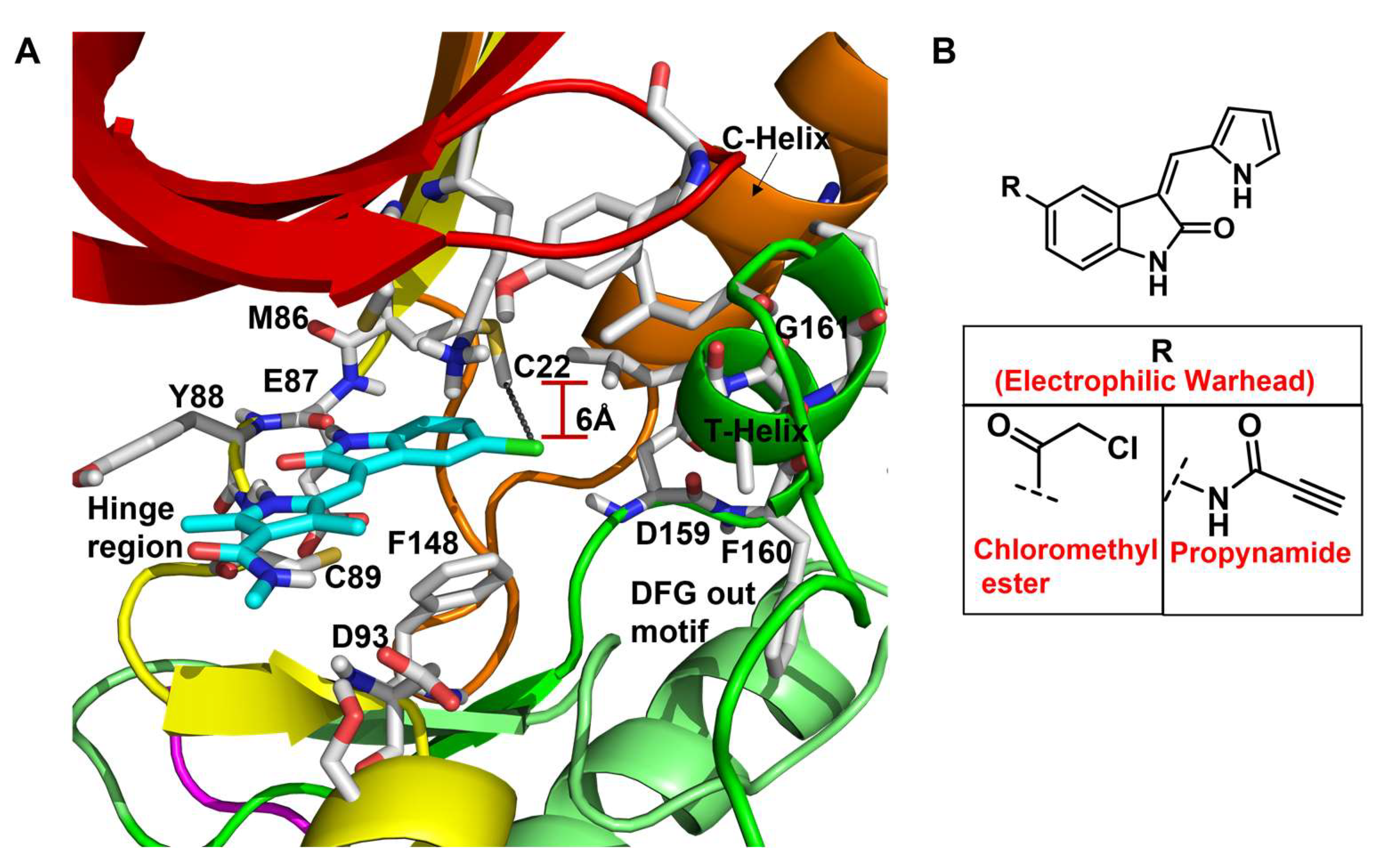 Molecules 27 00347 g010