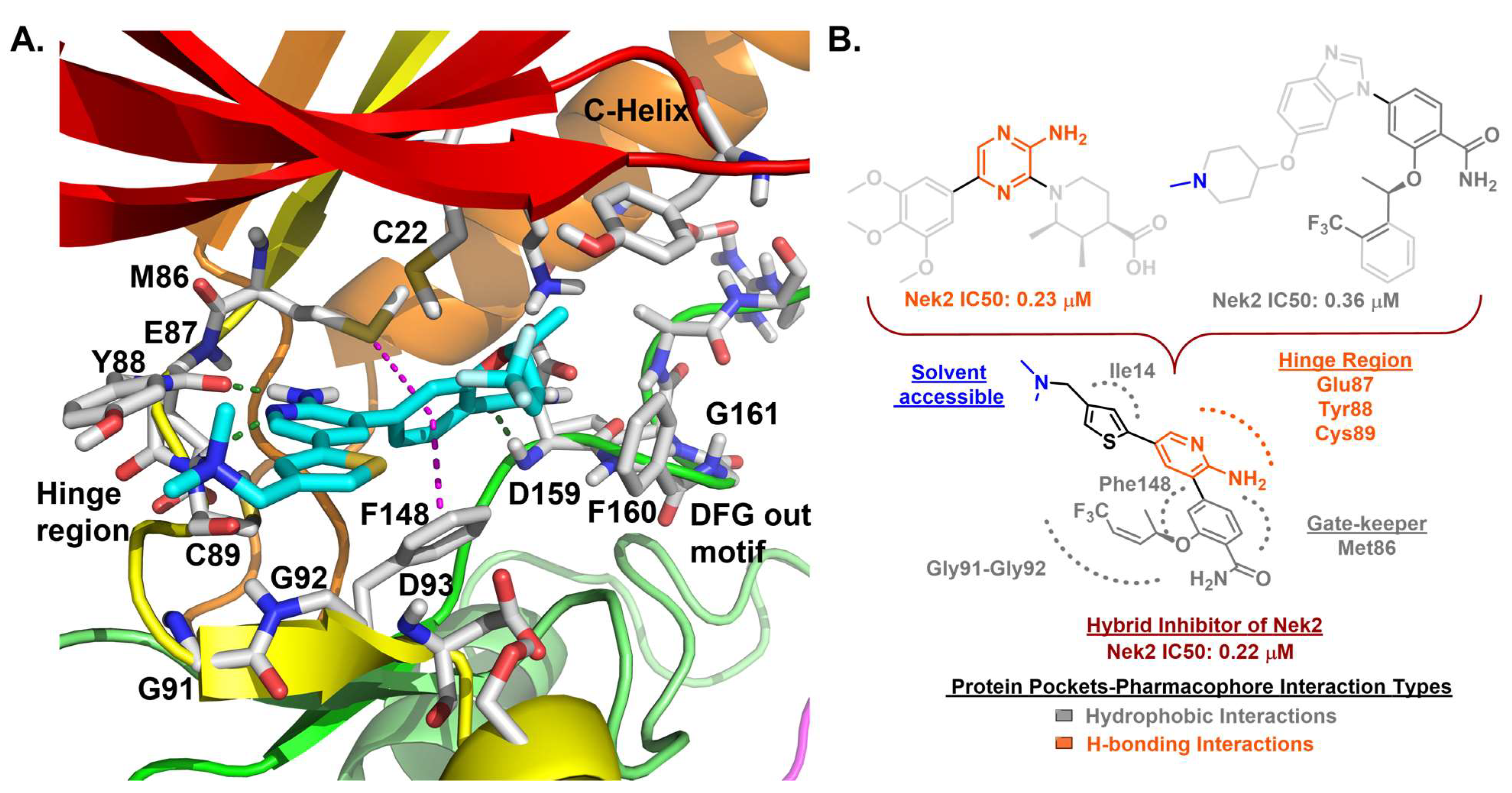 Molecules 27 00347 g011