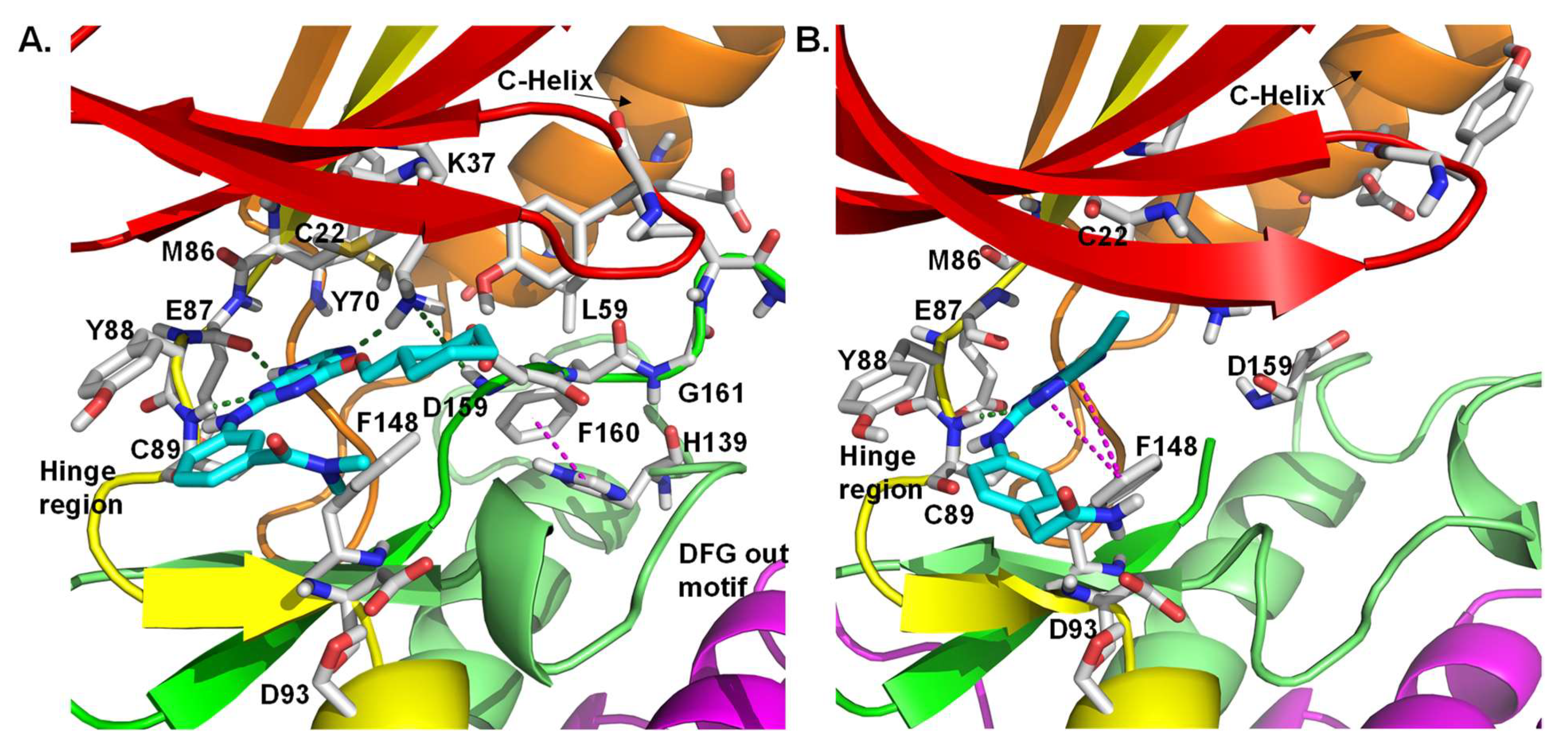Molecules 27 00347 g012