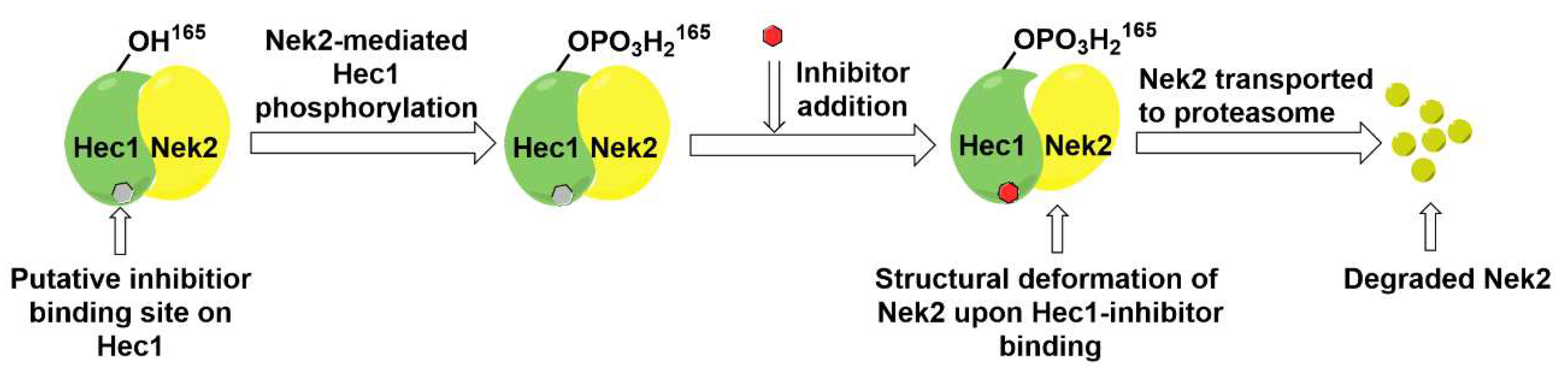Molecules 27 00347 g013