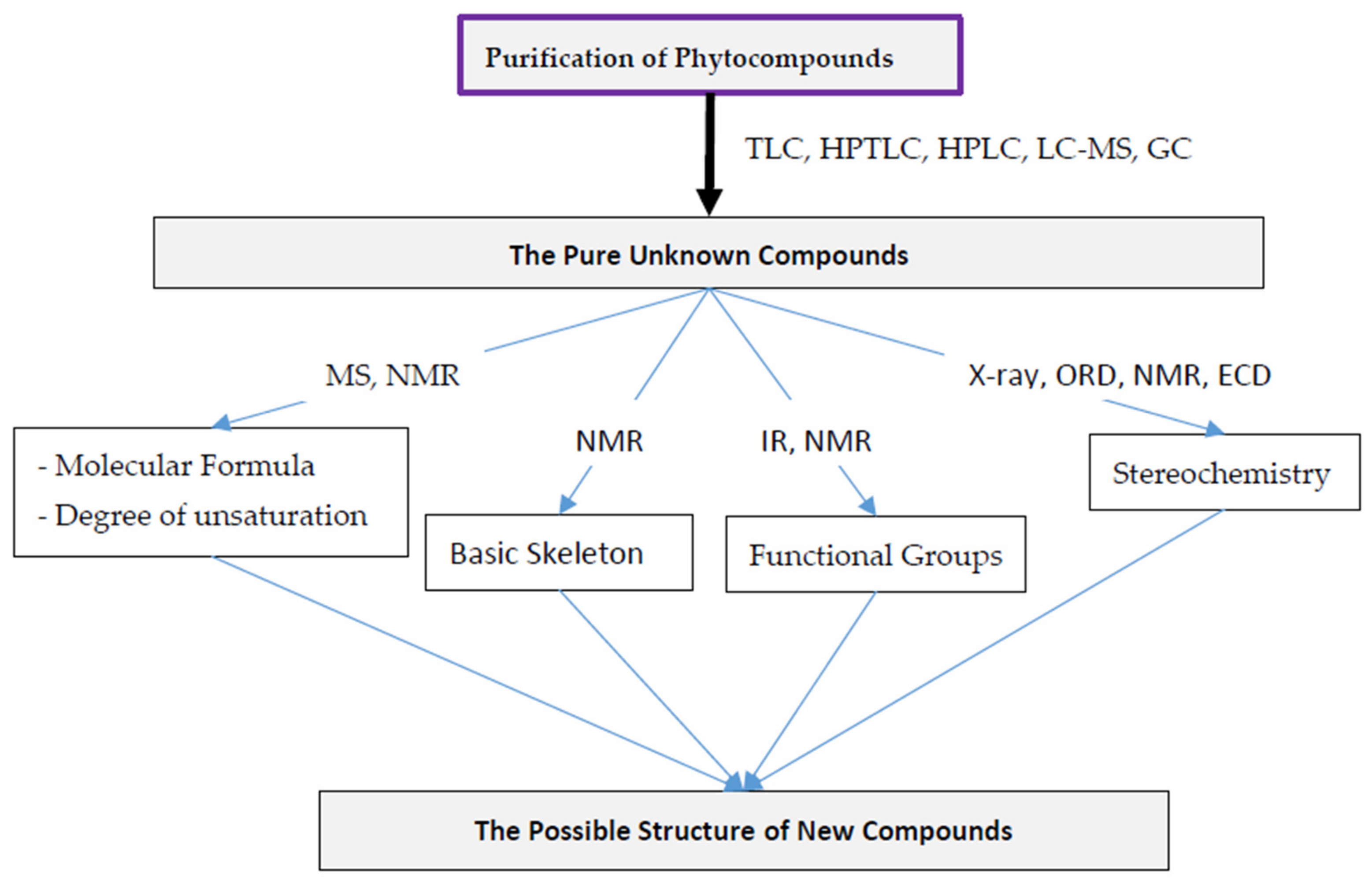 Molecules 27 00349 g004