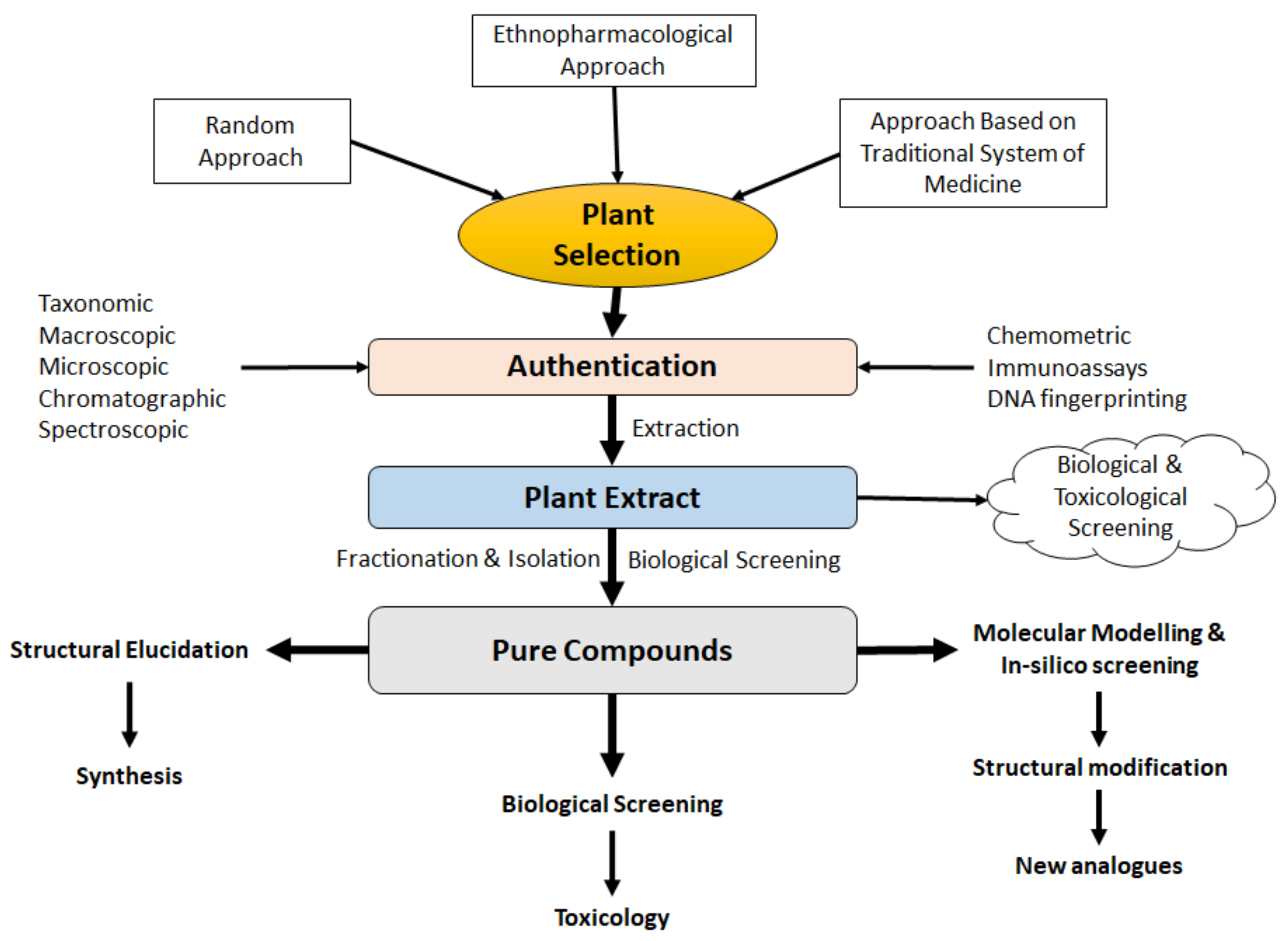 Molecules 27 00349 g005
