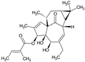 Molecules 27 00349 i011