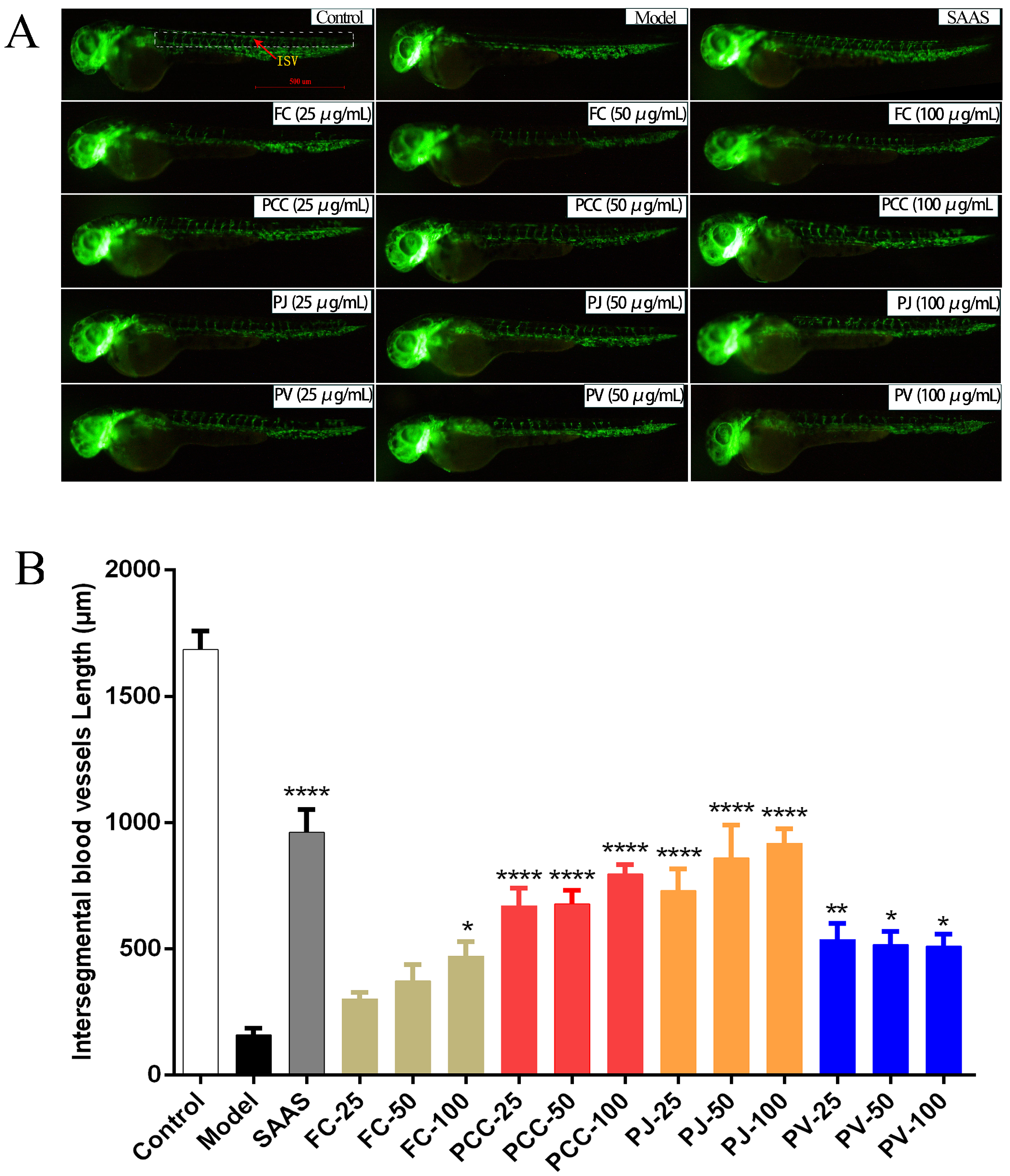 Molecules 27 00350 g006