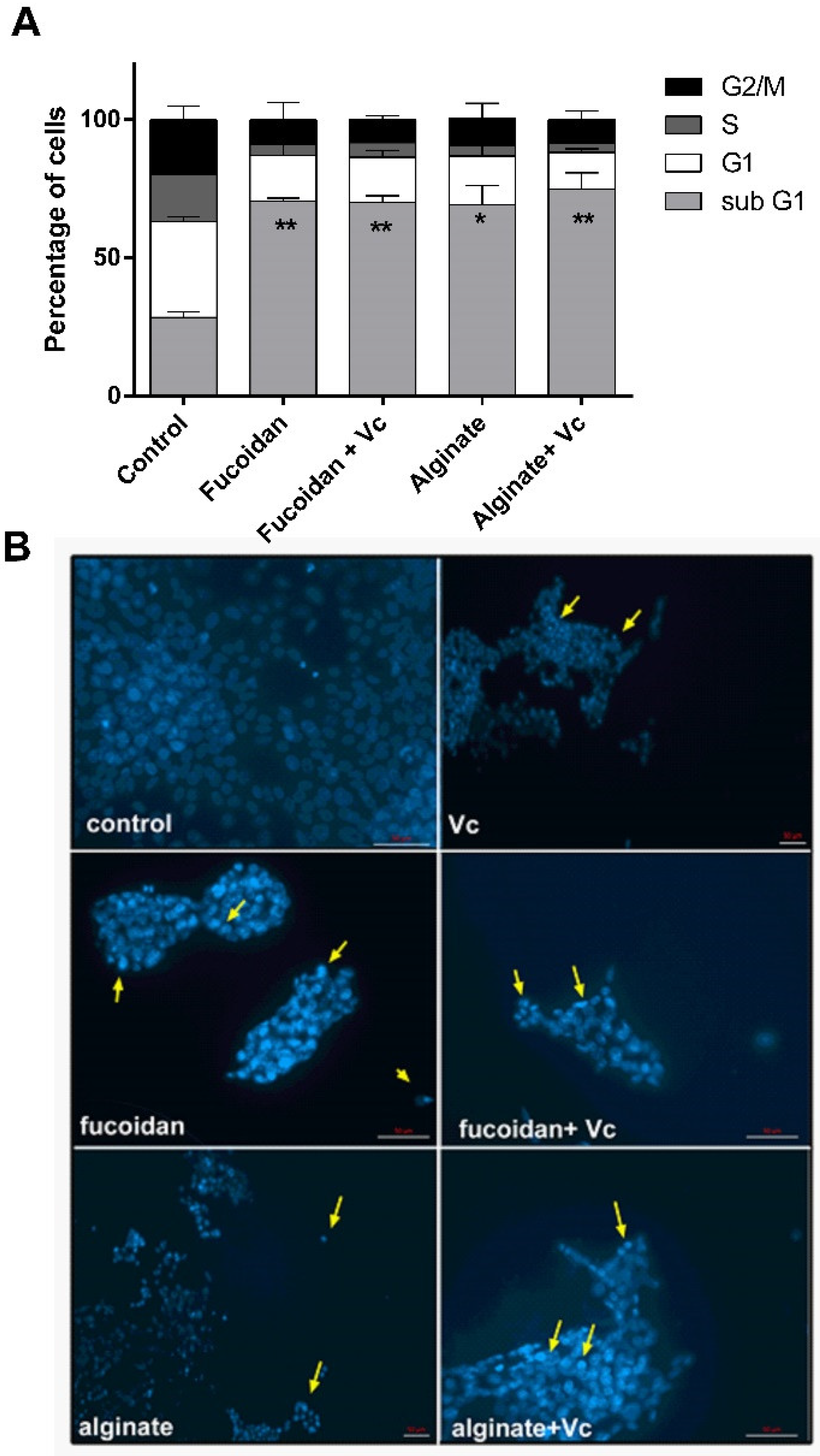 Molecules 27 00358 g009