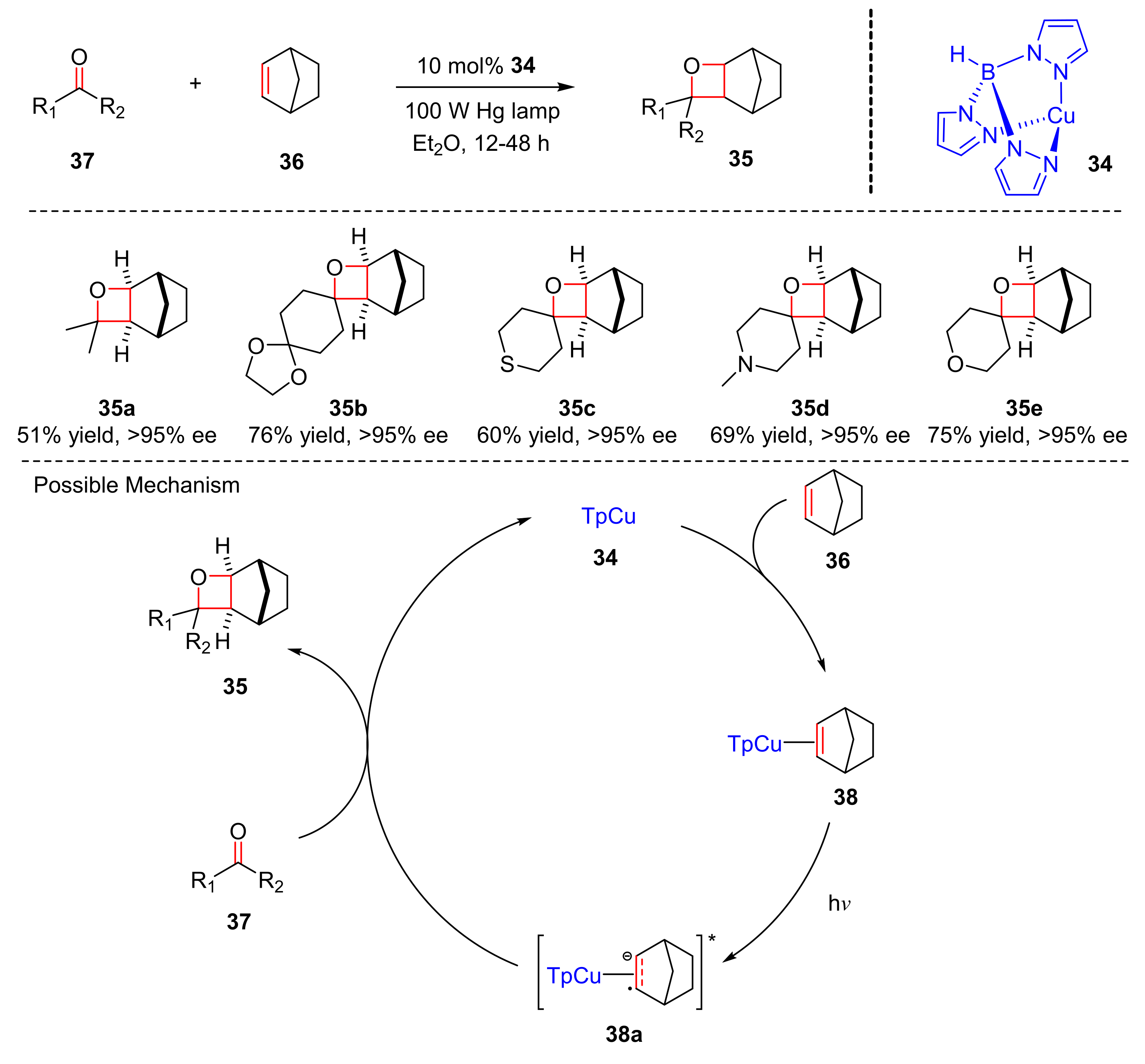 Molecules 27 00359 sch009