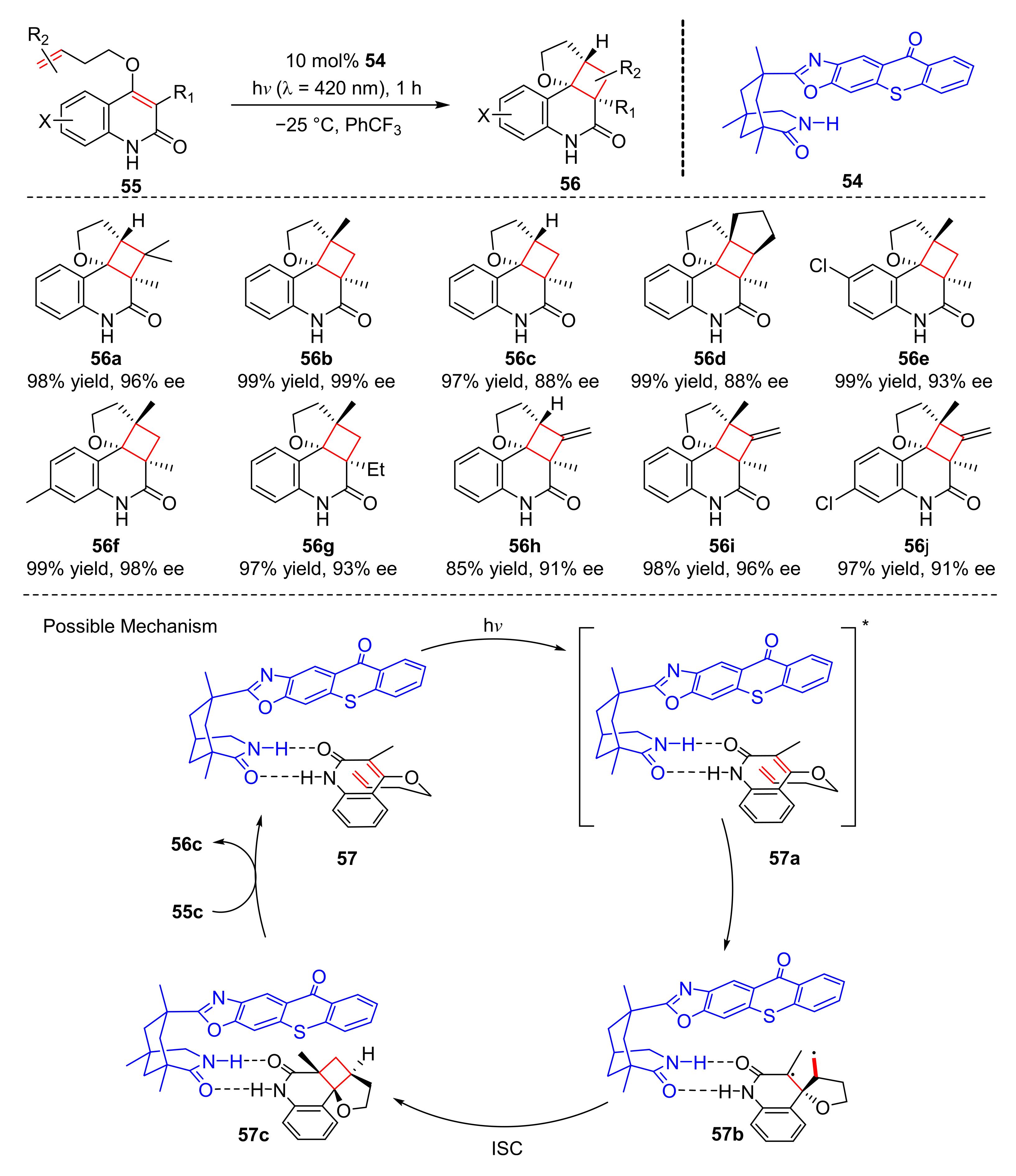 Molecules 27 00359 sch013