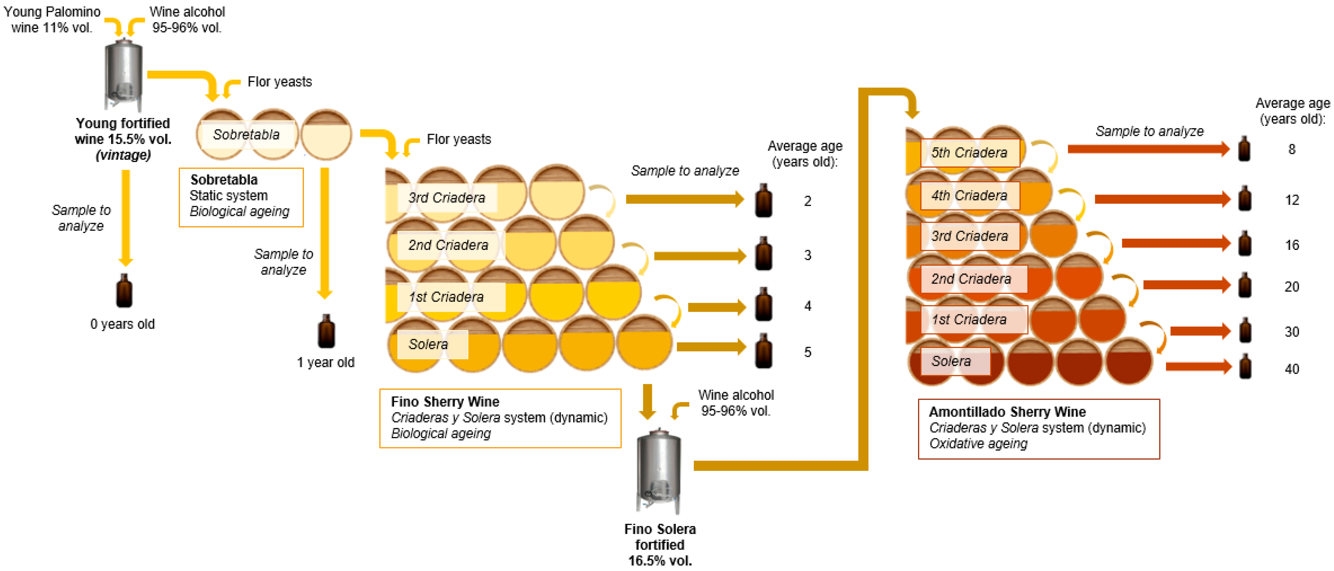 Molecules 27 00365 g001