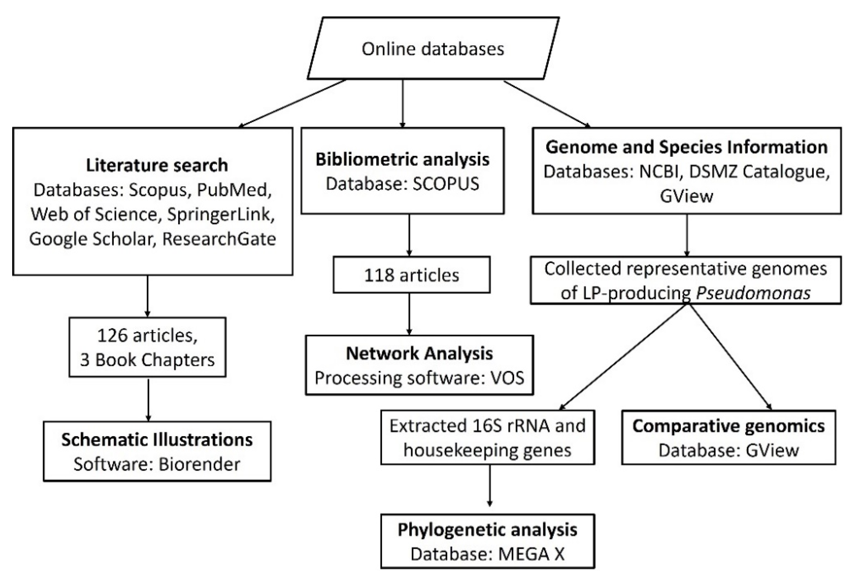 Molecules 27 00372 g001