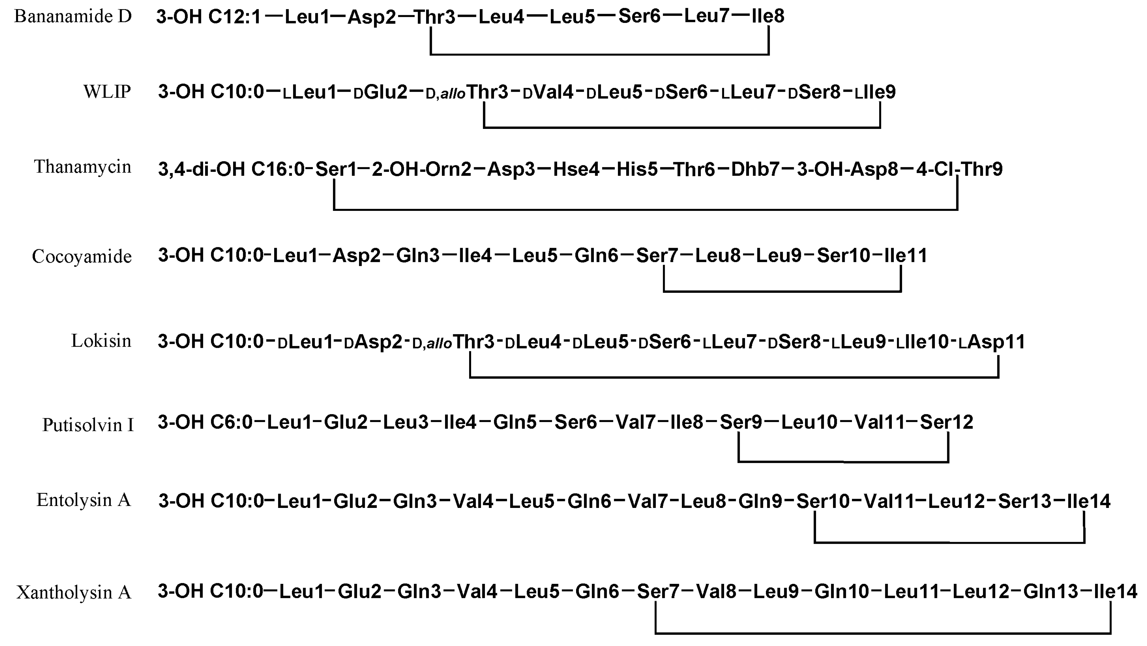 Molecules 27 00372 g004