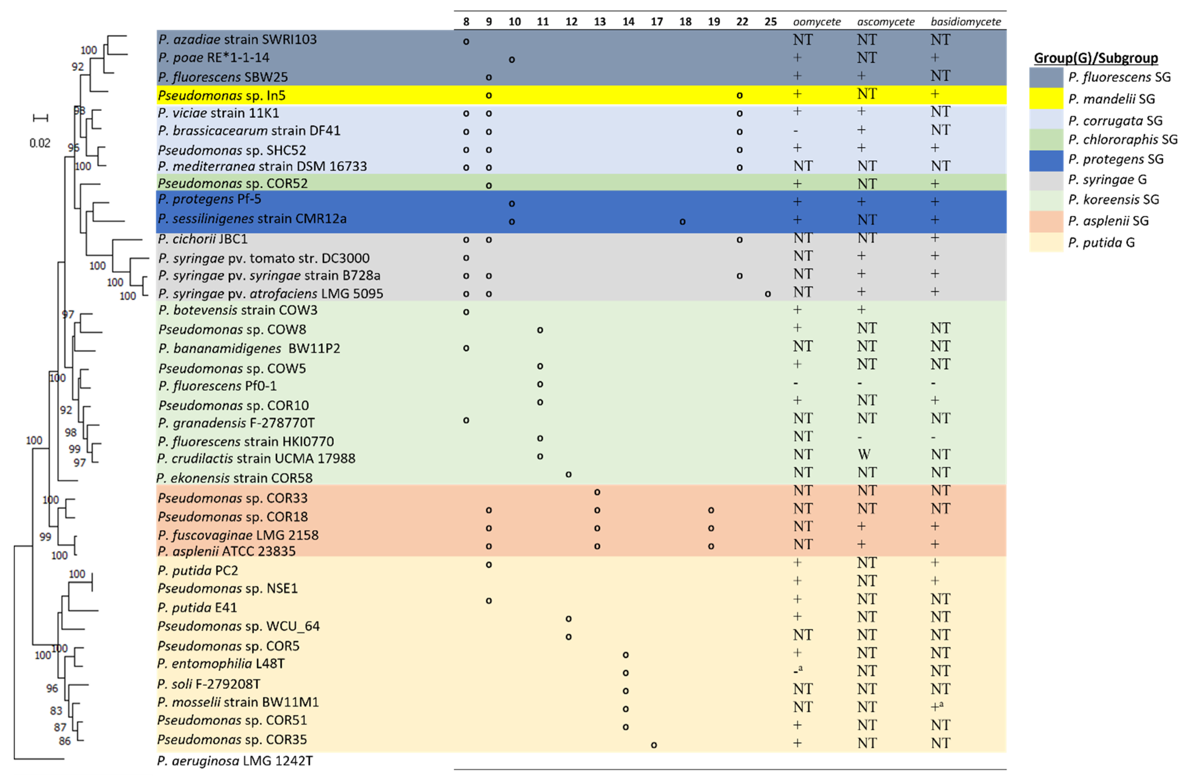 Molecules 27 00372 g005
