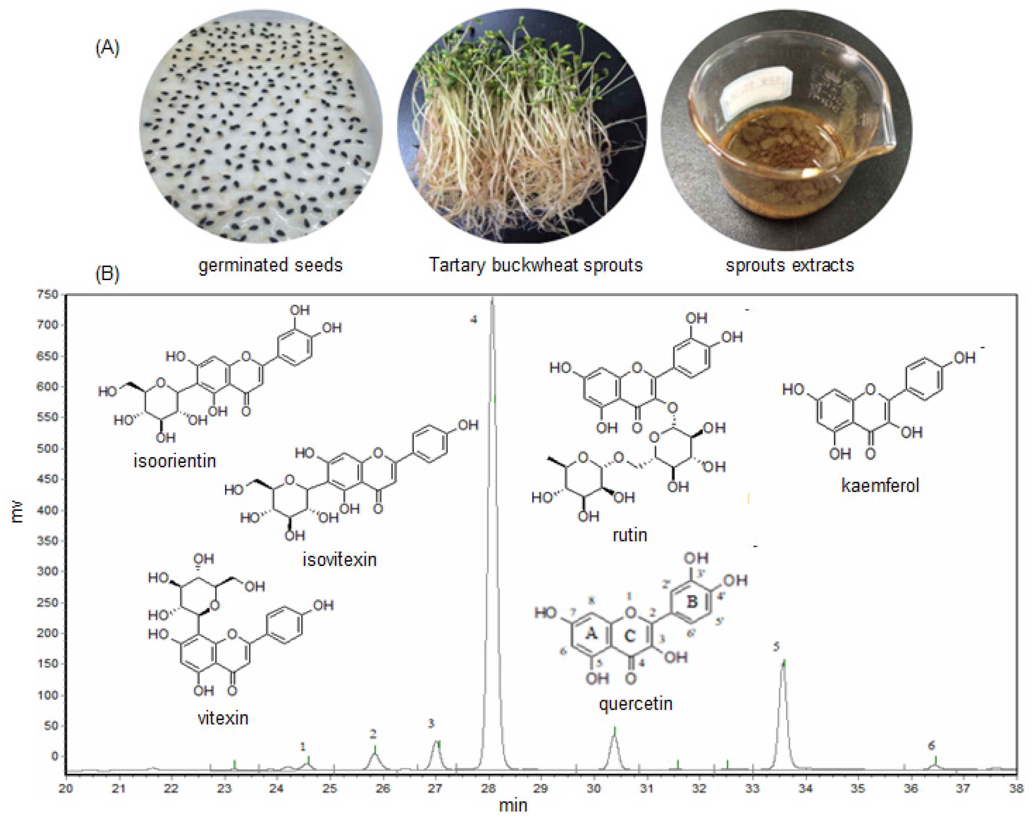 Molecules 27 00374 g001