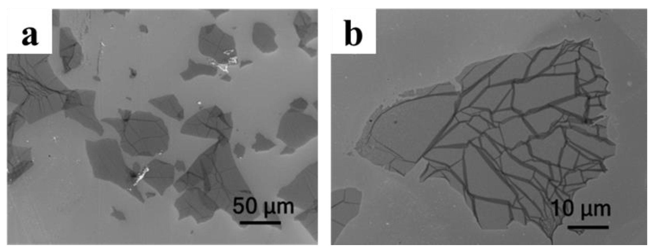 Molecules 27 00376 g002
