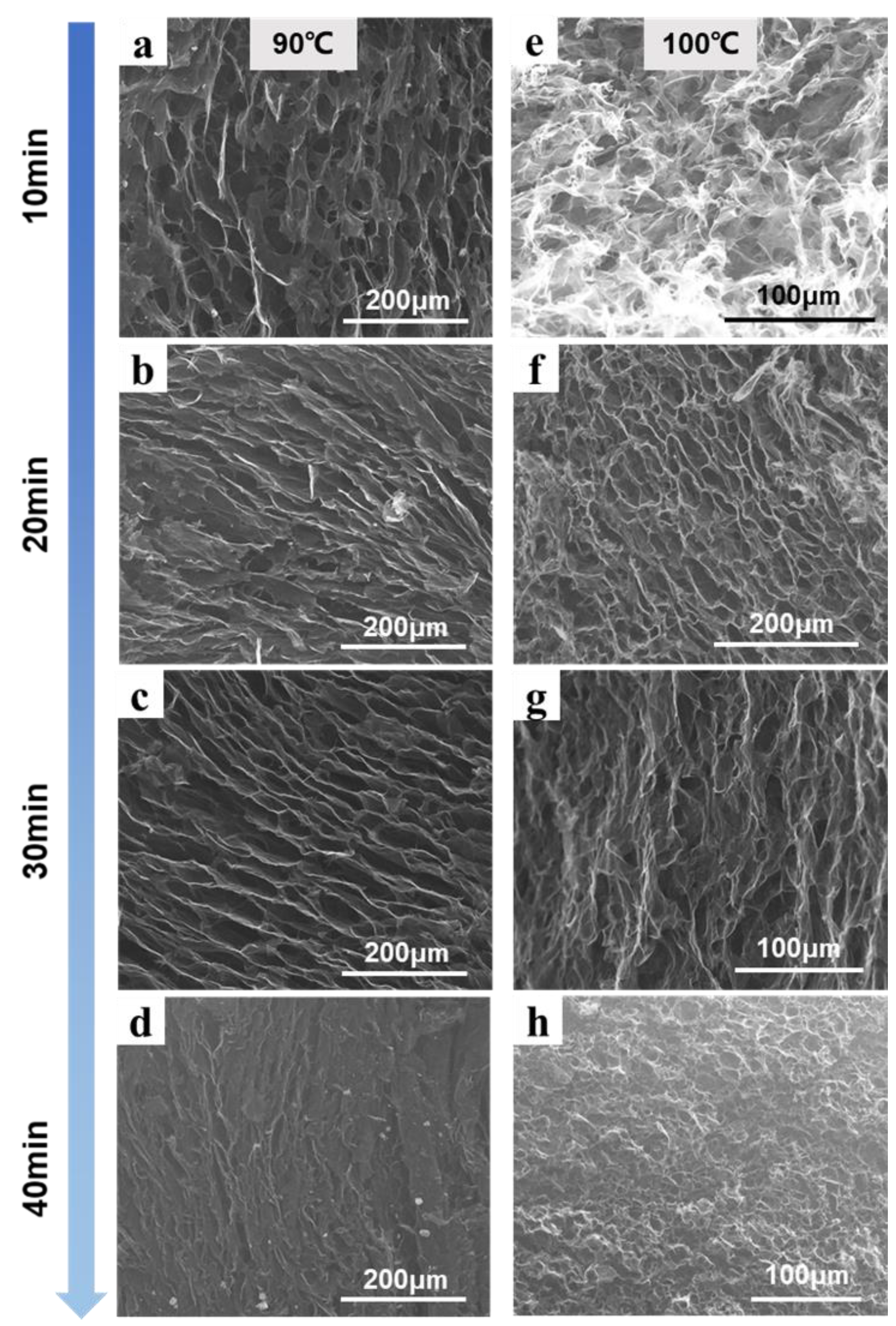 Molecules 27 00376 g004