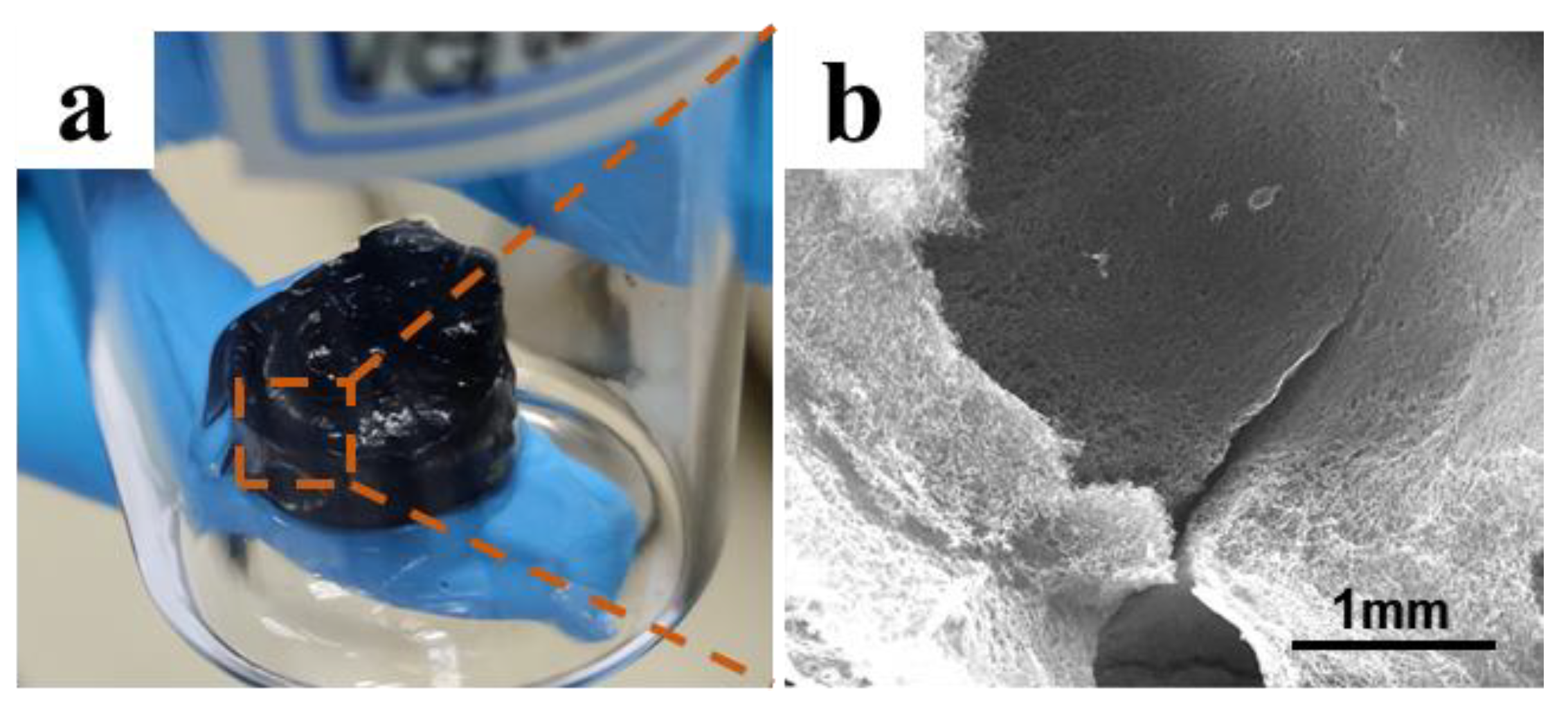 Molecules 27 00376 g005
