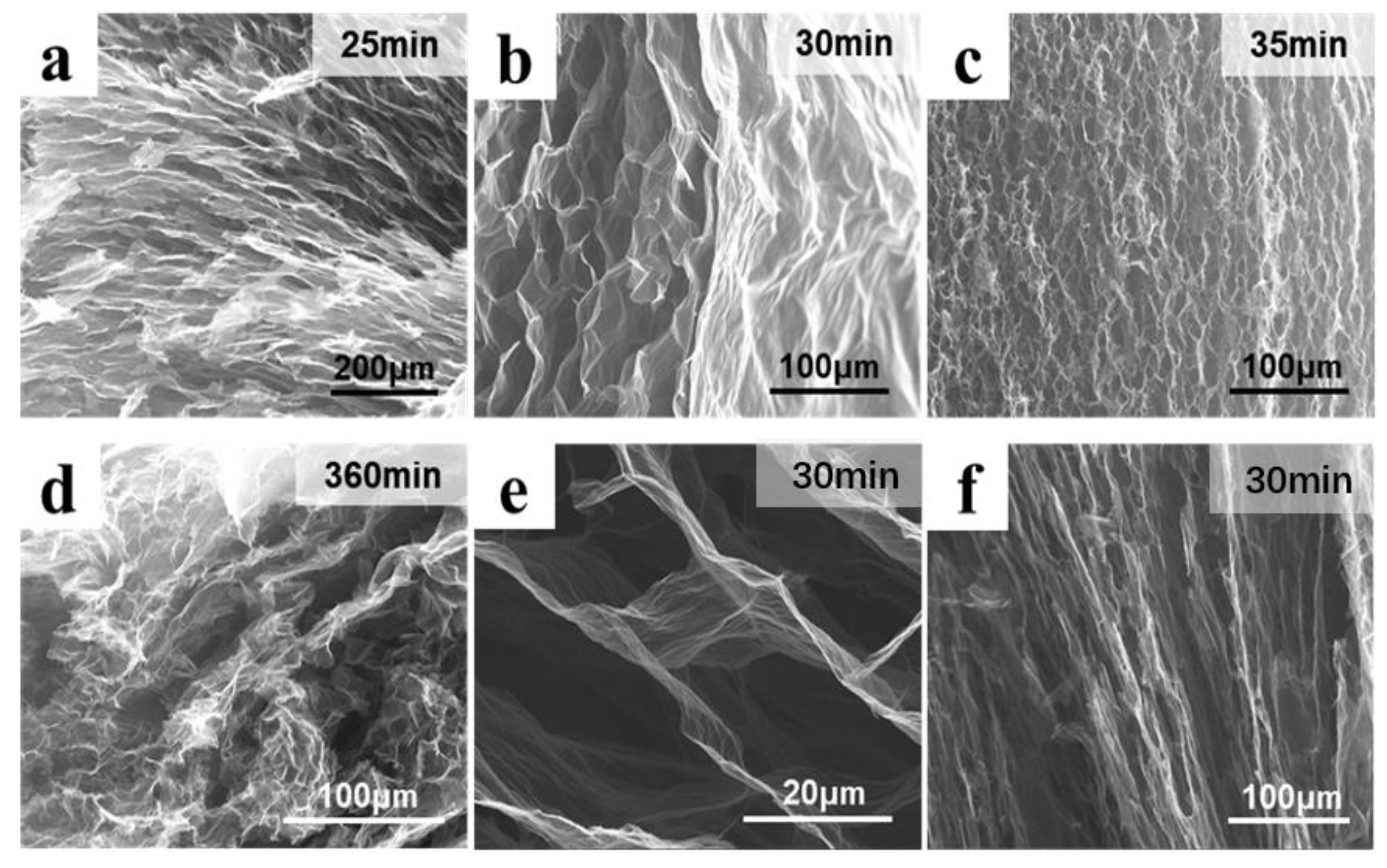 Molecules 27 00376 g006