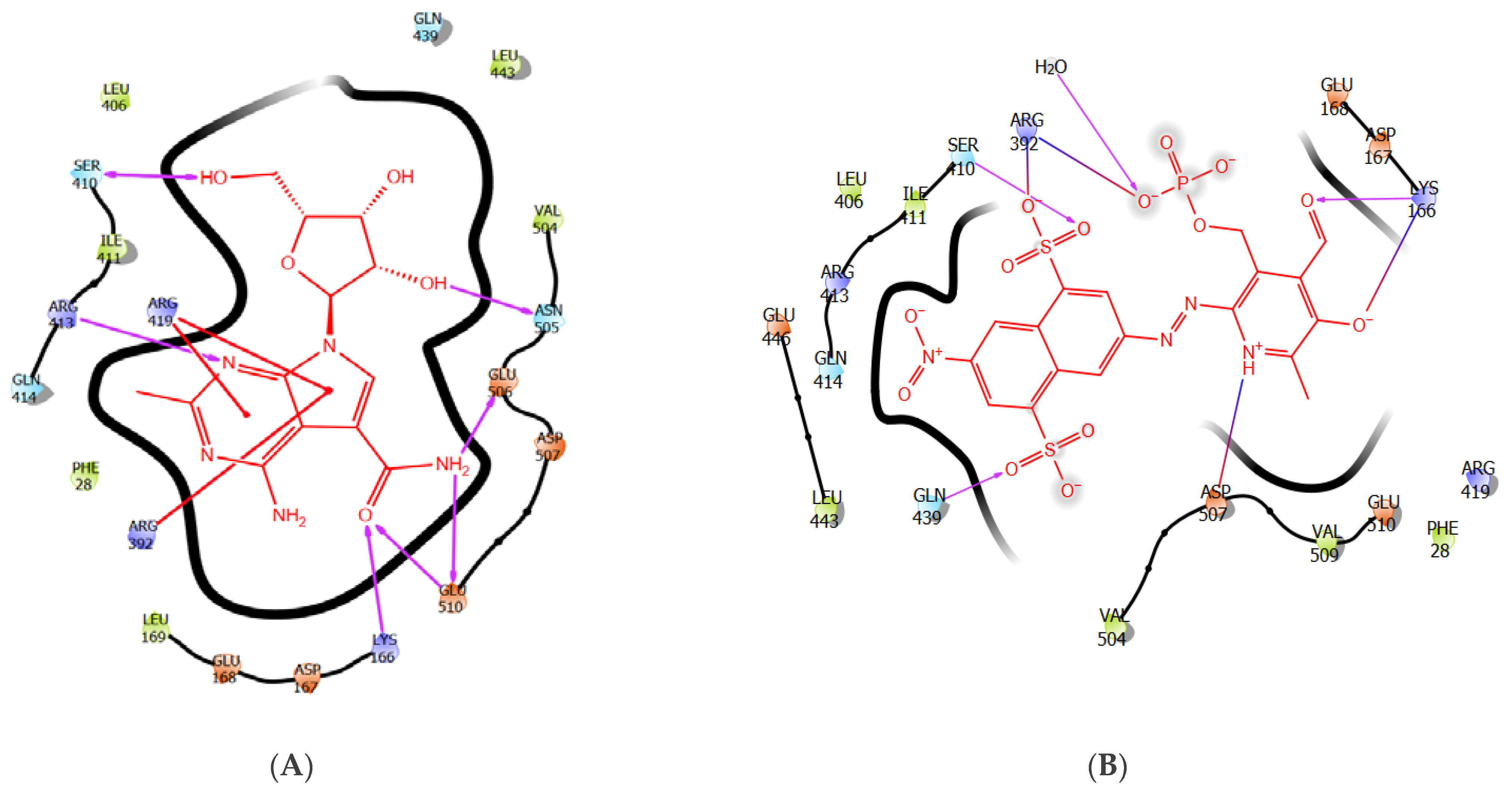 Molecules 27 00380 g002
