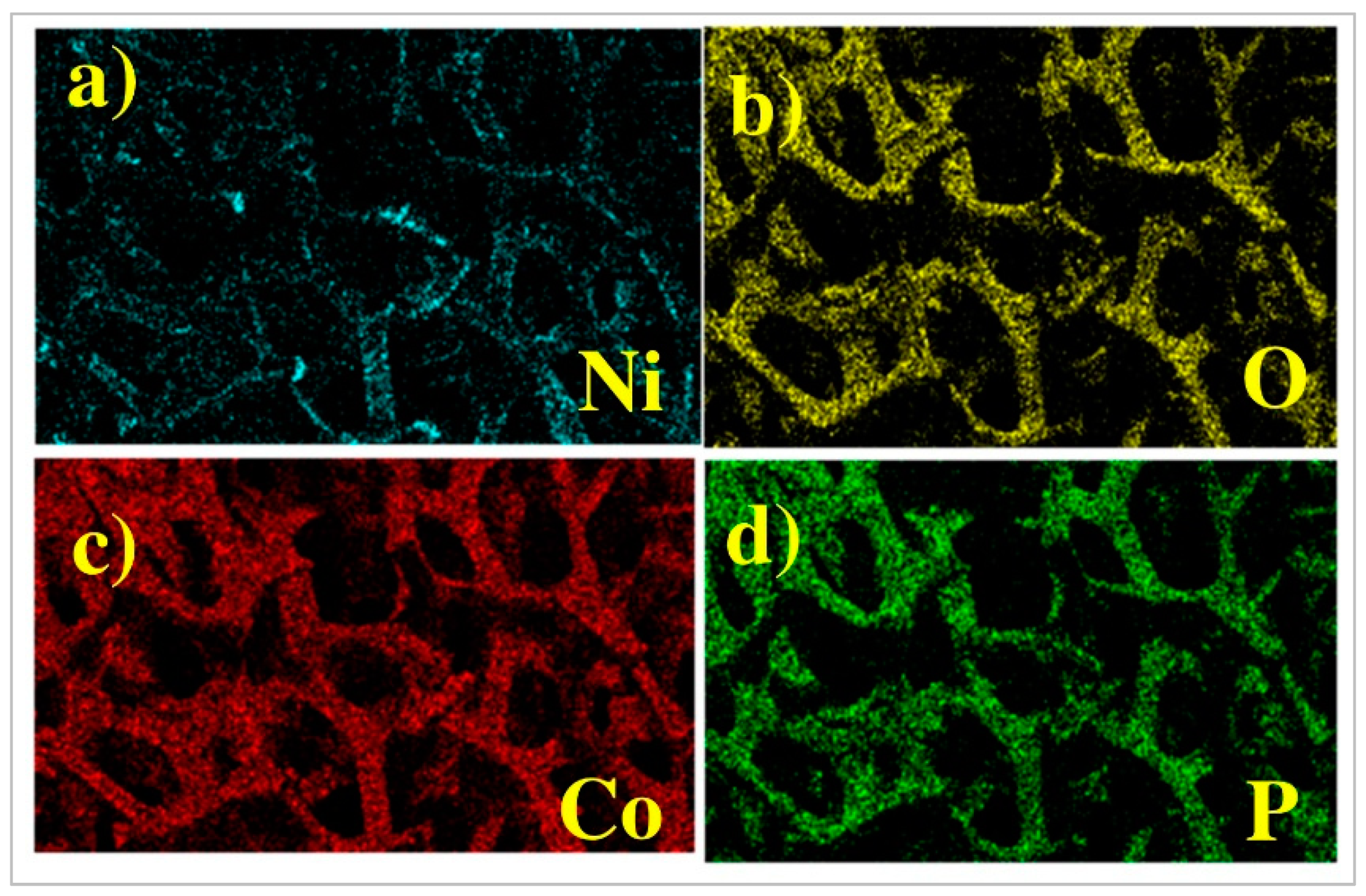 Molecules 27 00382 g002