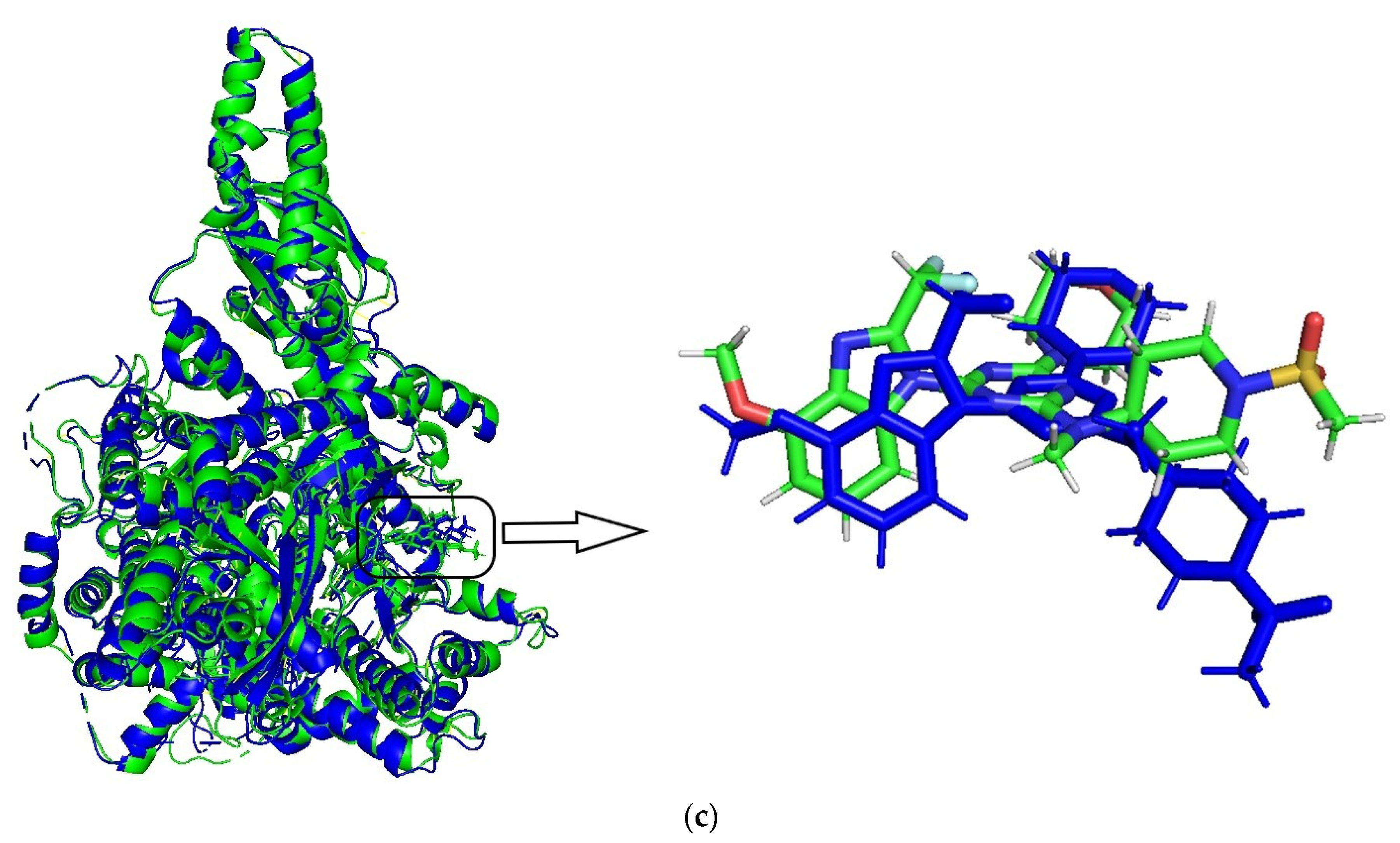 Molecules 27 00387 g006b