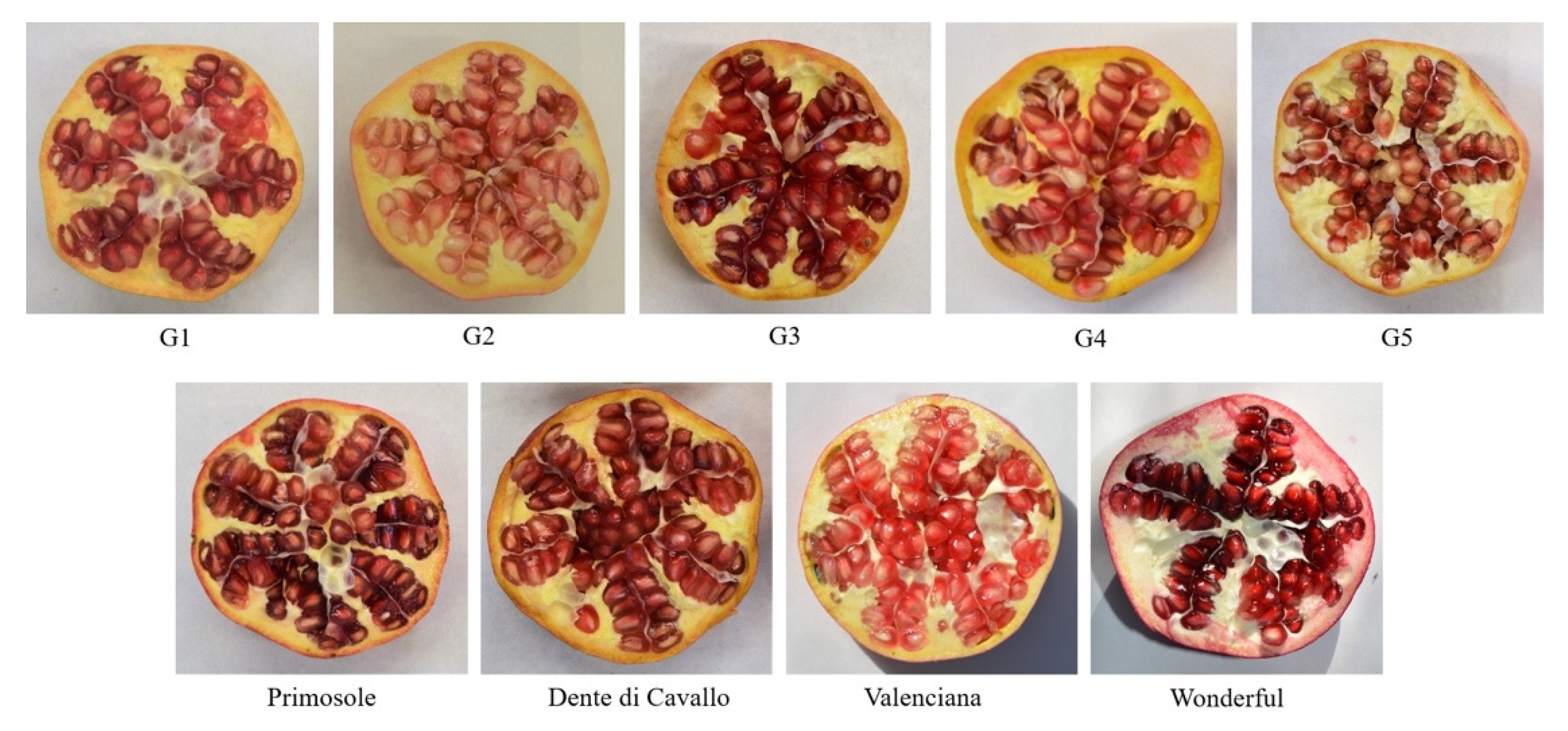 Molecules 27 00389 g007